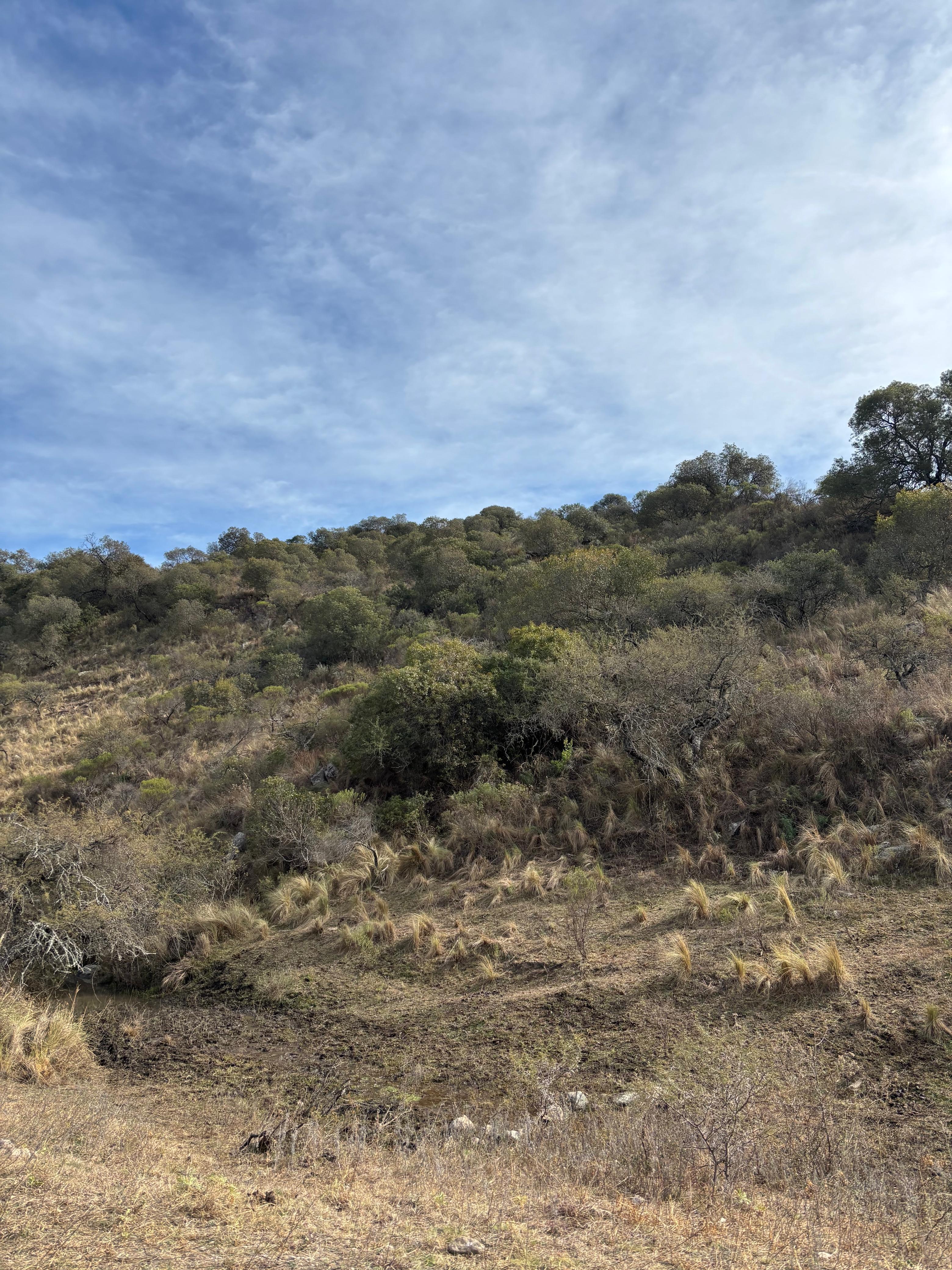 Terreno a la venta en Cuesta Blanca 2000 Metros