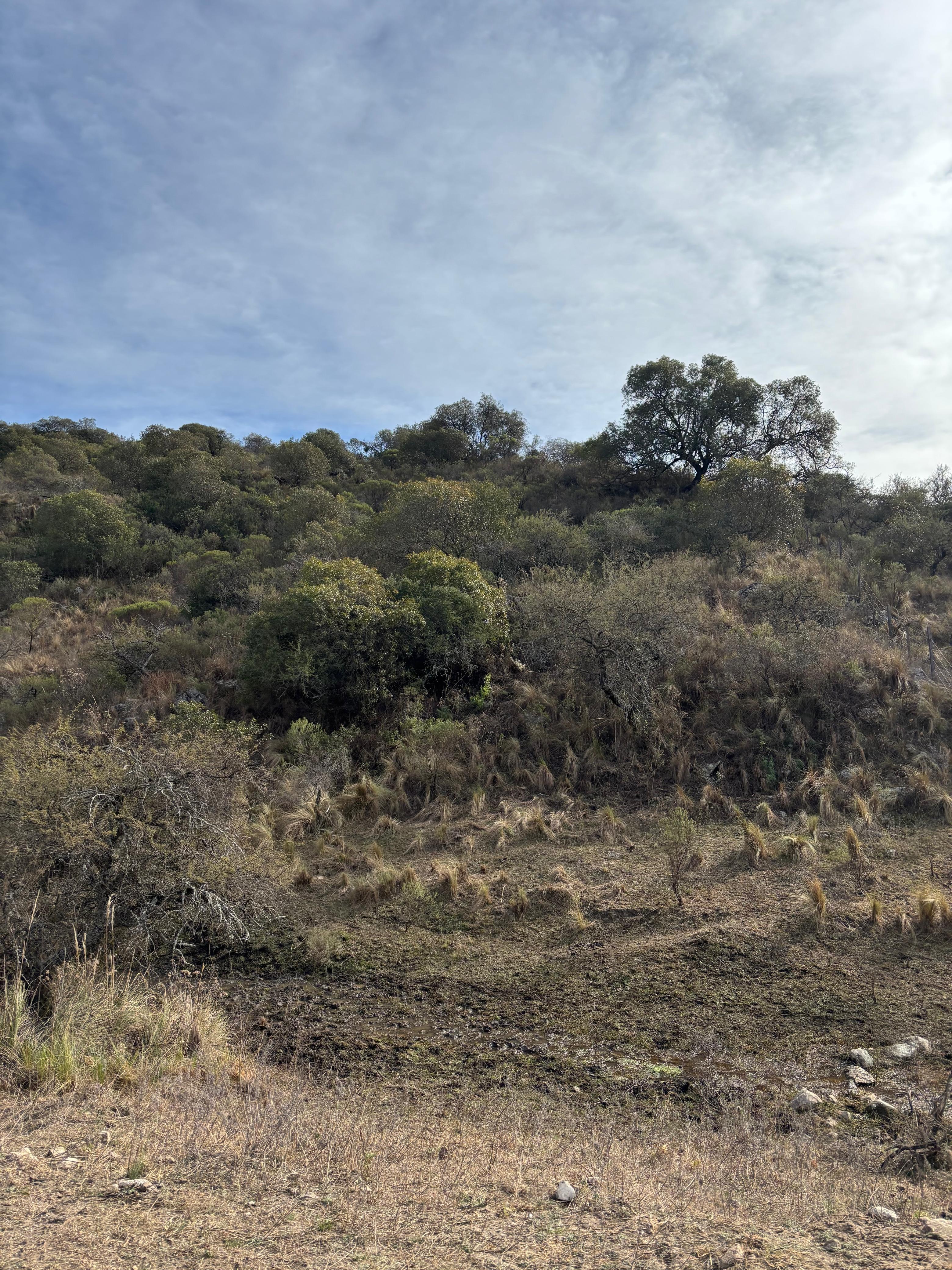 Terreno a la venta en Cuesta Blanca 2000 Metros