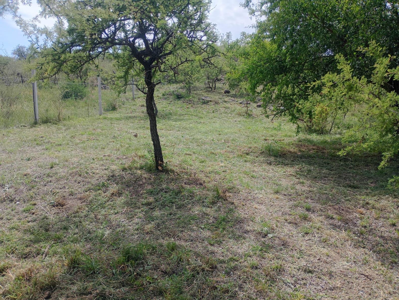 VENDO TERRENO EN SAN JOSE DE LA QUINTANA