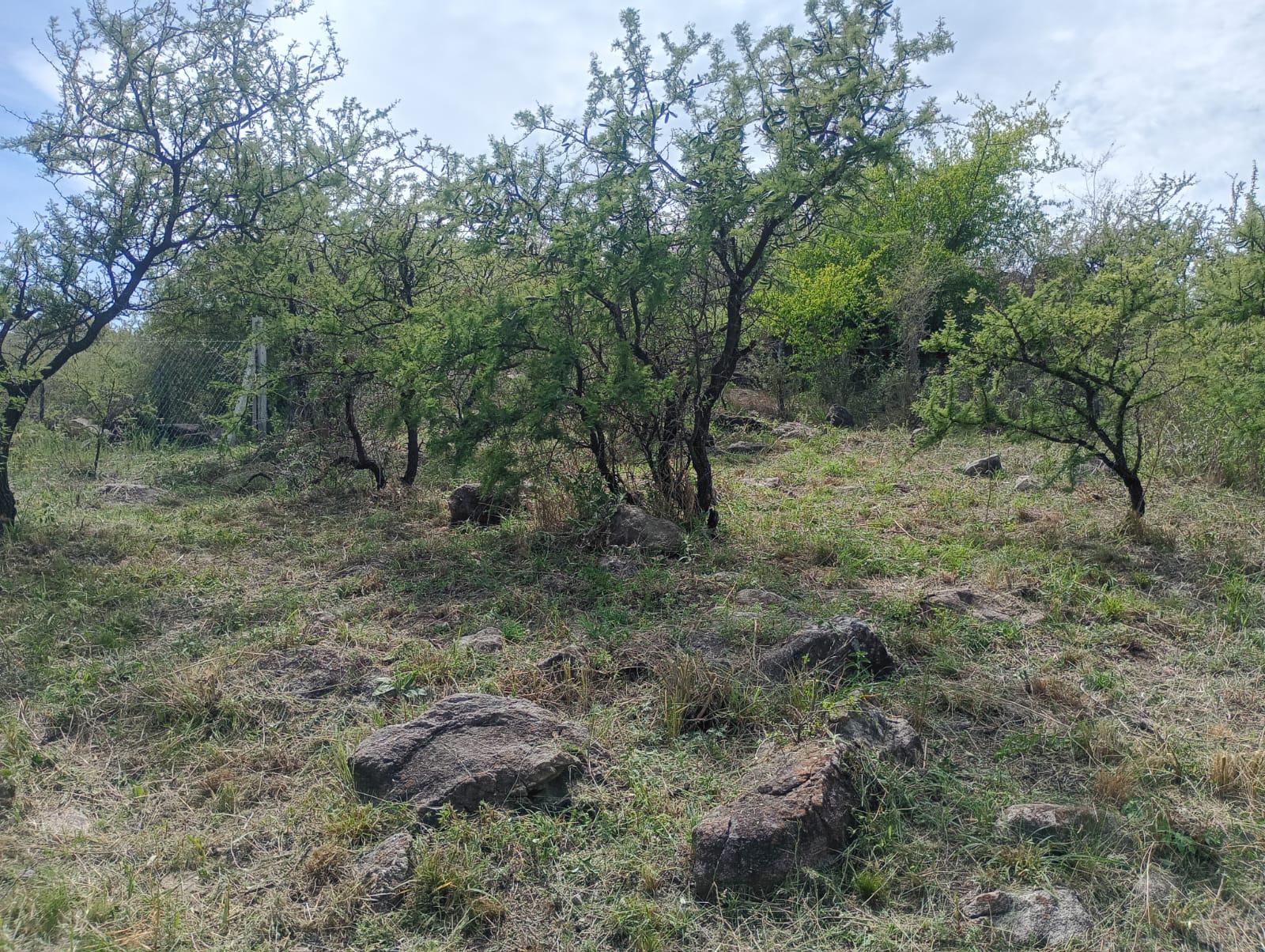 VENDO TERRENO EN SAN JOSE DE LA QUINTANA