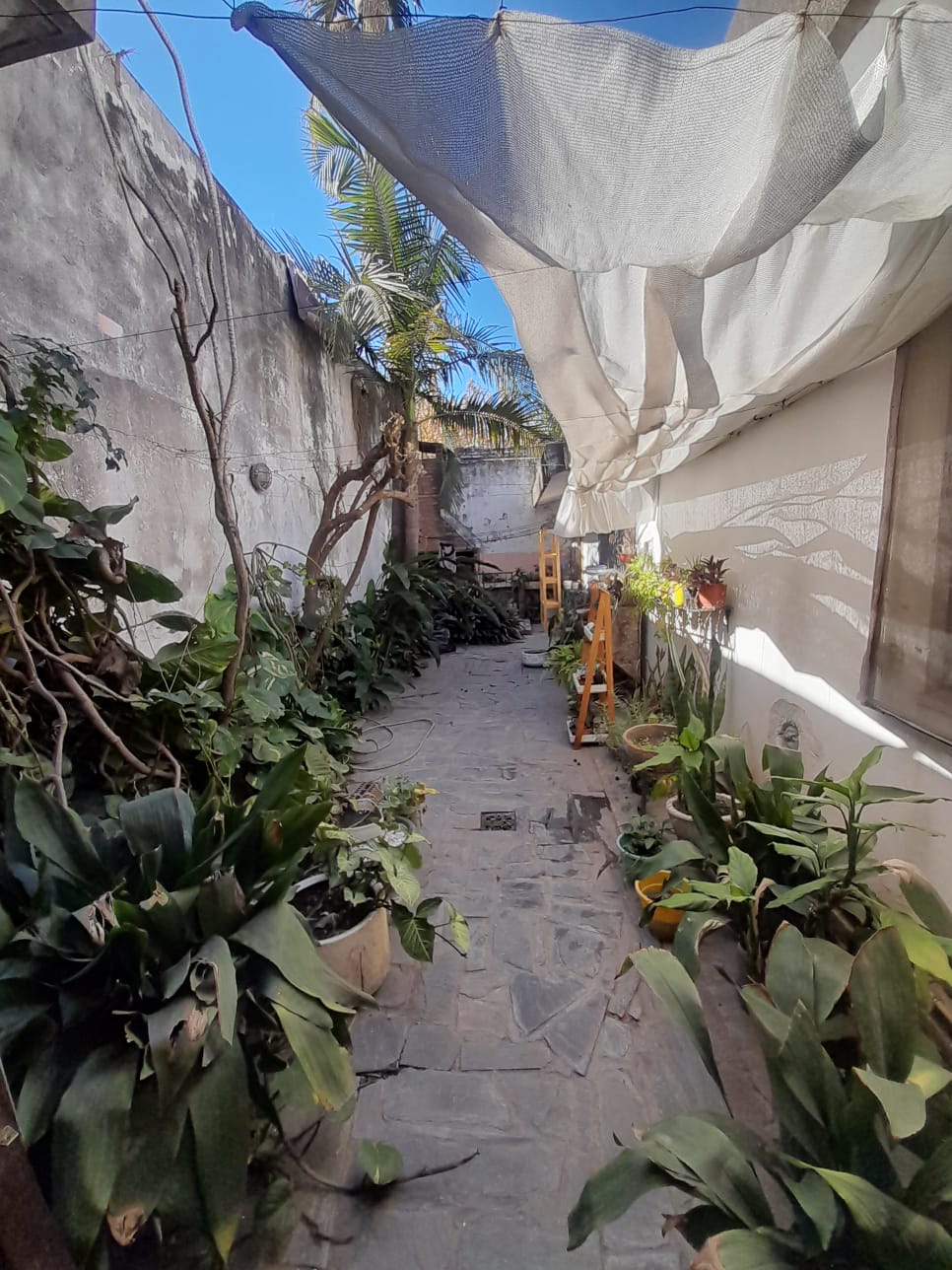 Frente paseo Guemes.. Casona en venta