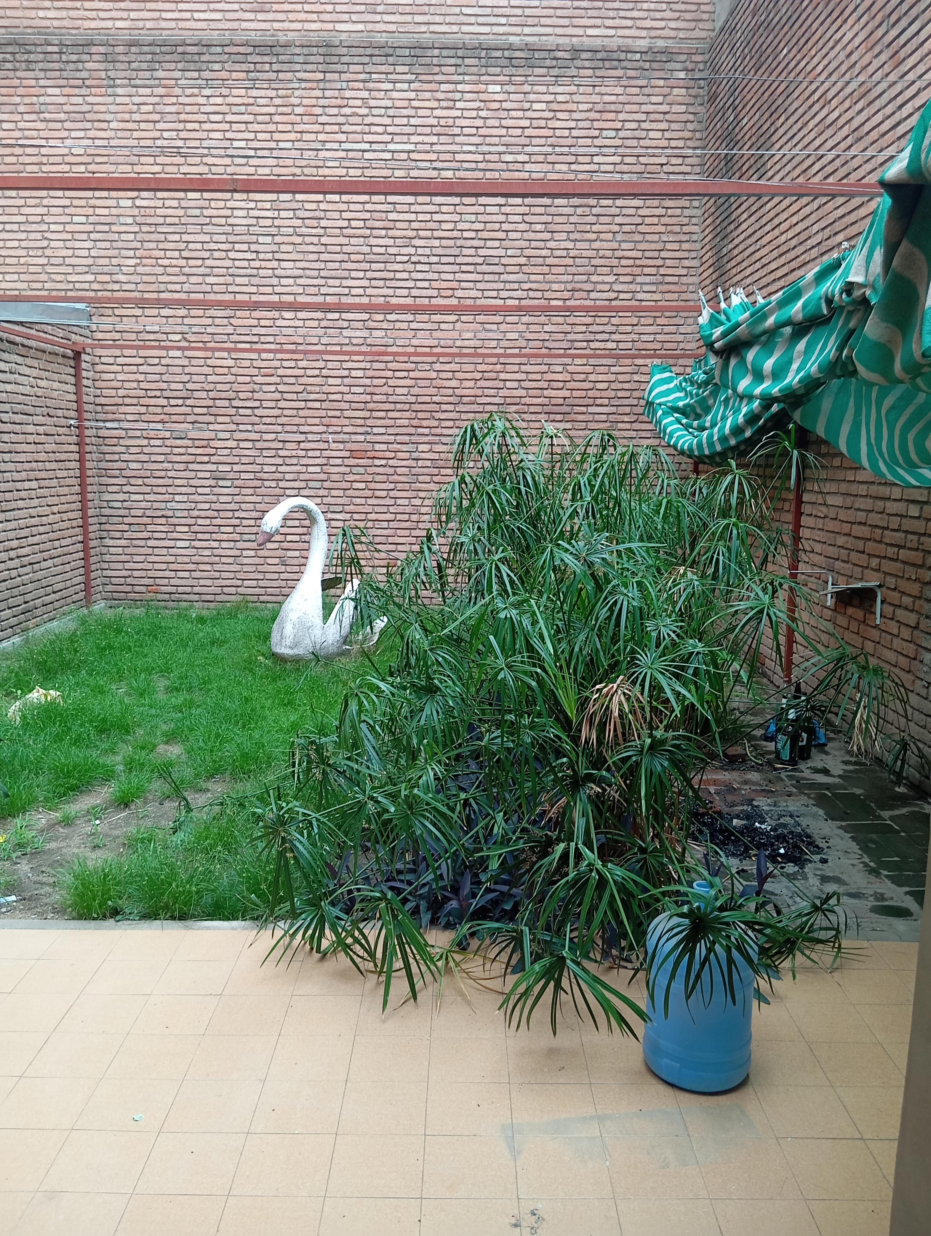 Alq. Dpto c2 dorm y patio.B Nueva Córdoba.