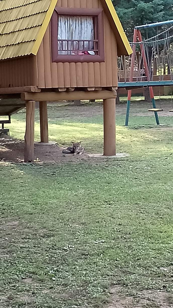 CABAÑA DE 3 DOR. CPILETA  ALQUILER PERMANTENTE-STA.MÓNICA