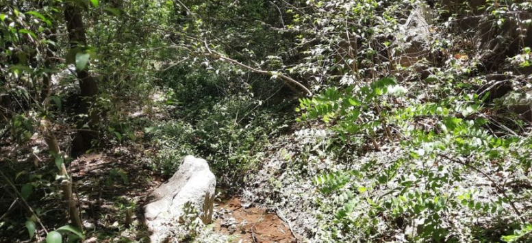 Vendo Lote ÑU PORA 1250 m2 Rio Ceballos Córdoba