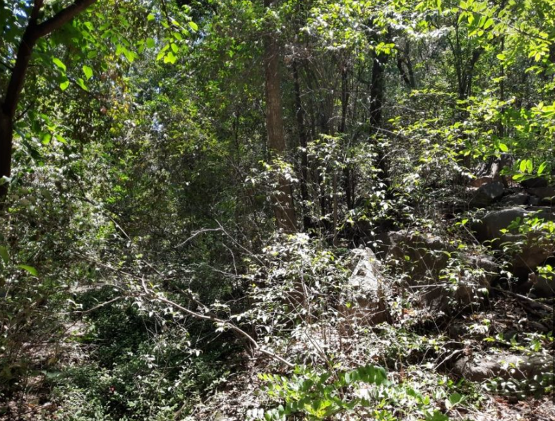 Vendo Lote ÑU PORA 1250 m2 Rio Ceballos Córdoba