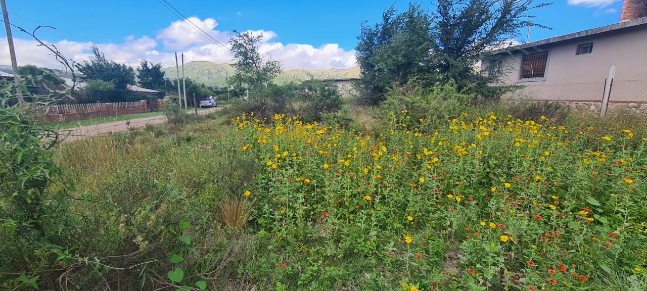 LOTE EN VENTA VILLA GIARDINO