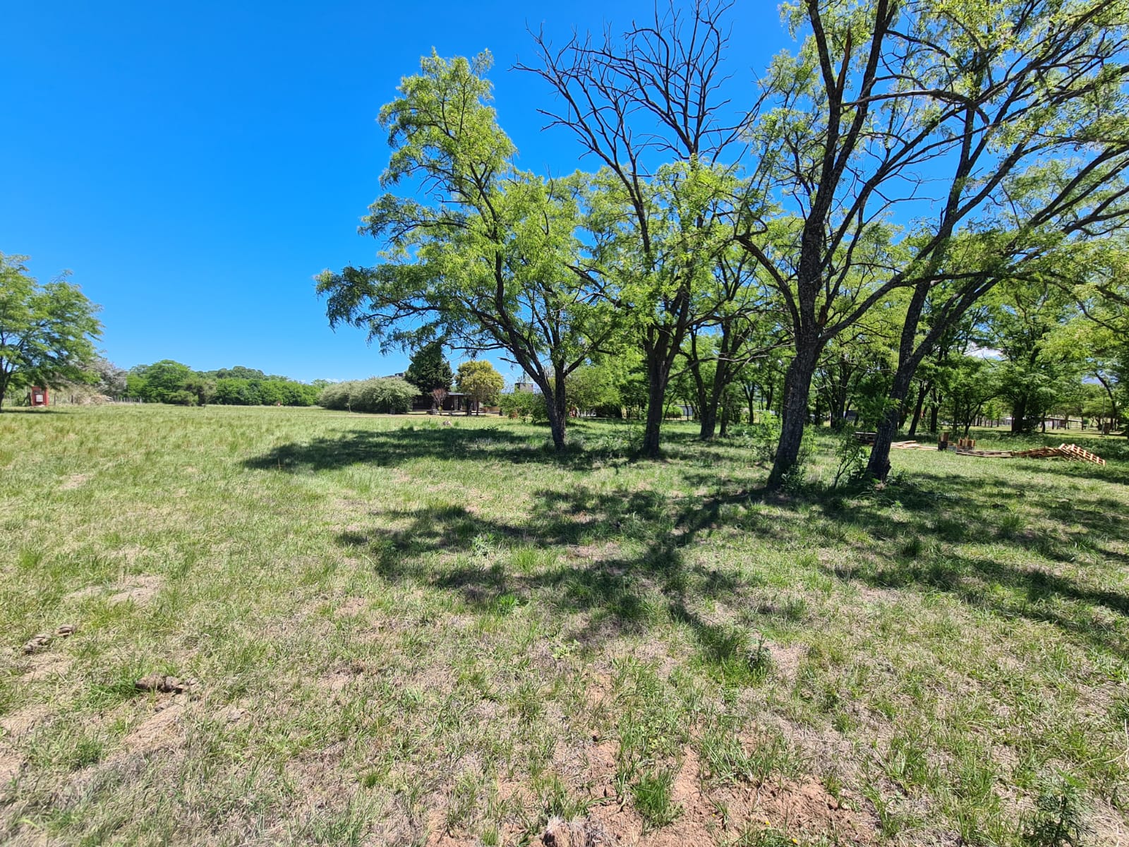 LOTE PUNTO CLARO VILLA SILVESTRE