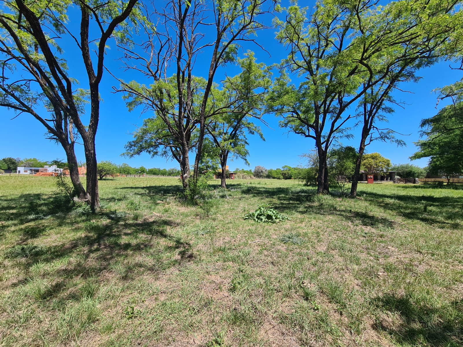 LOTE PUNTO CLARO VILLA SILVESTRE