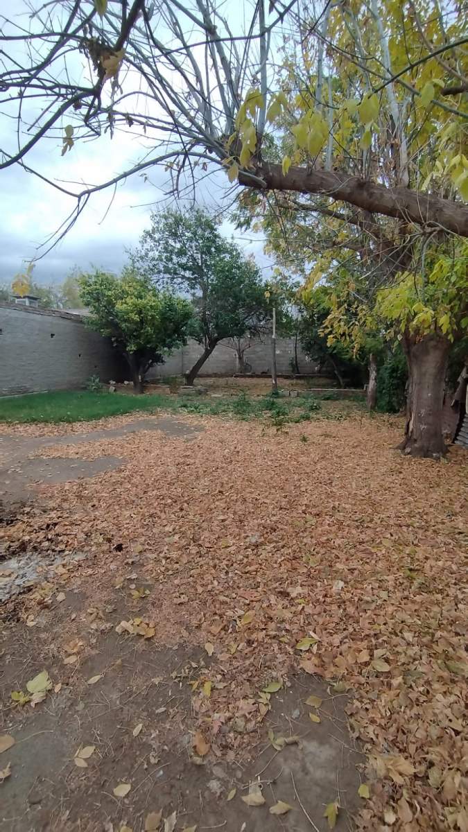 Casa de 3 Dor. con amplio terreno  en Venta- Villa de Soto- Córdoba