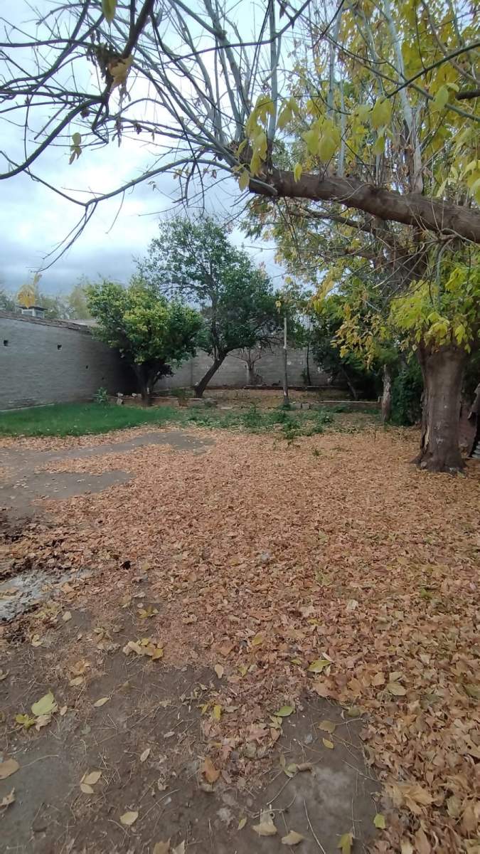 Casa de 3 Dor. con amplio terreno  en Venta- Villa de Soto- Córdoba