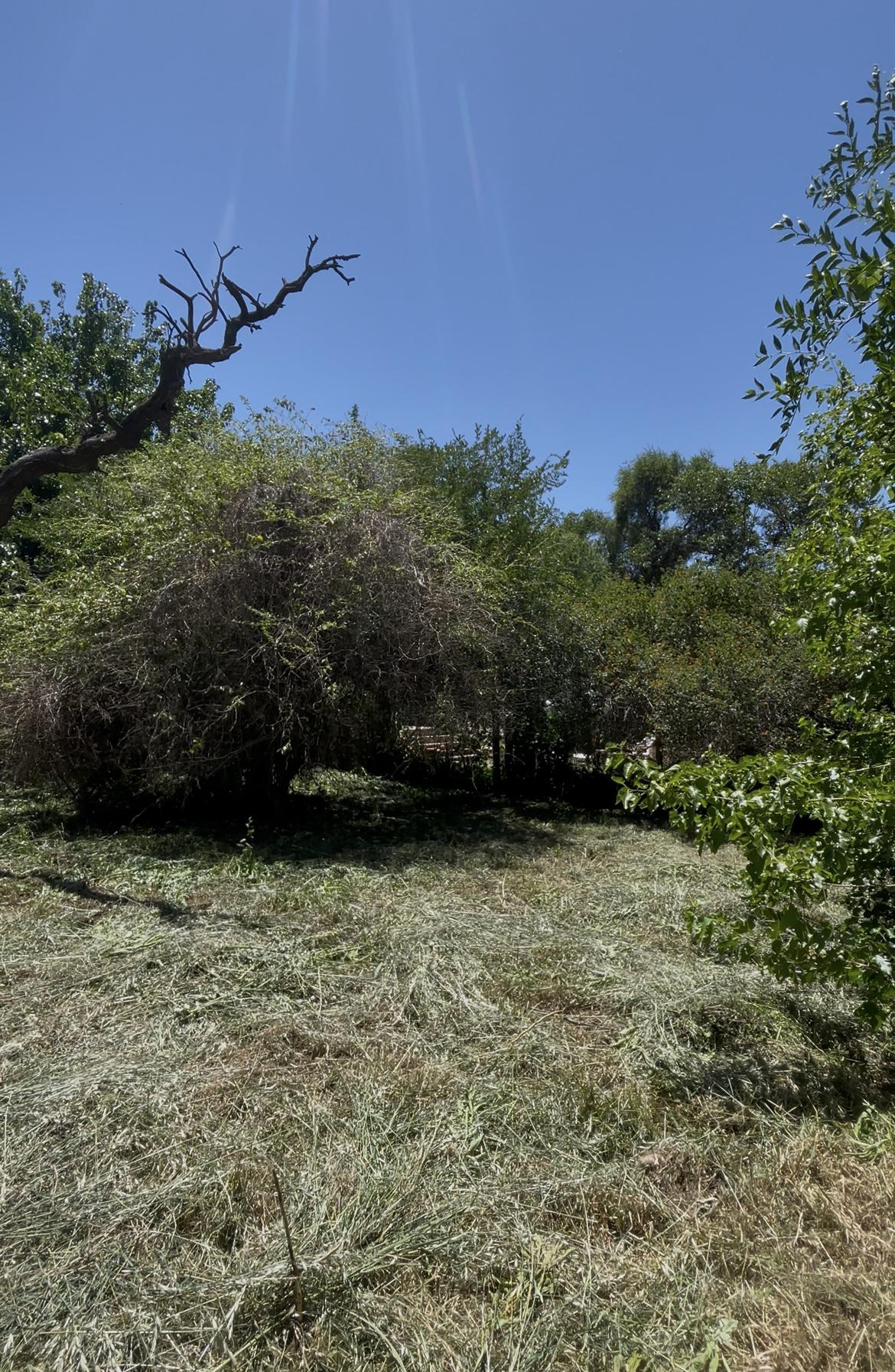 TERRENO El Talar Mendiolaza OPORTUNIDAD