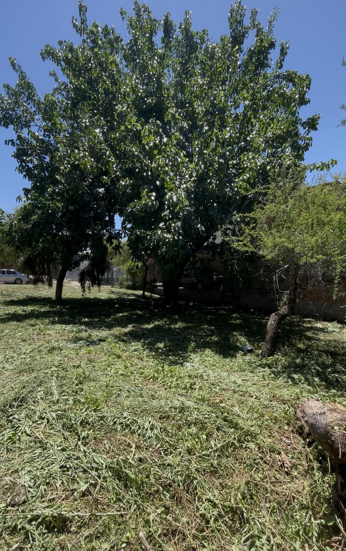 TERRENO El Talar Mendiolaza OPORTUNIDAD