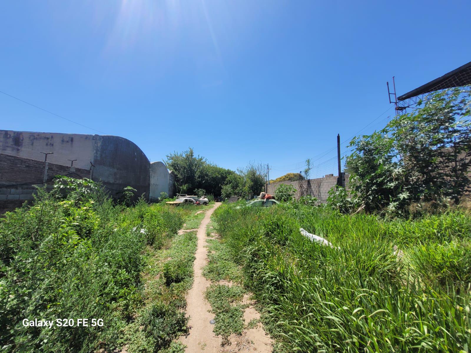 TERRENO  ALQUILER ALTO ALBERDI 1300 MTS