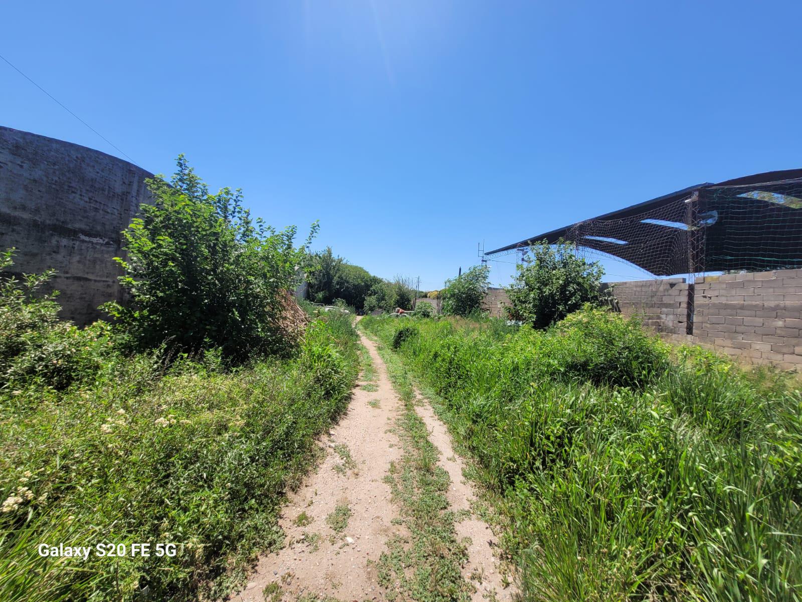 TERRENO  ALQUILER ALTO ALBERDI 1300 MTS