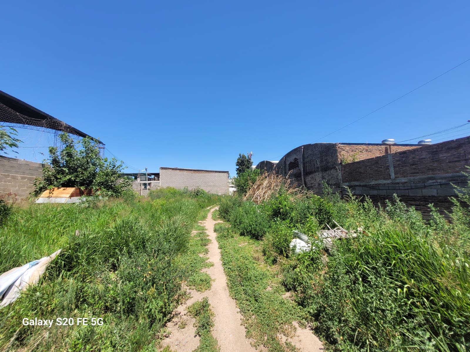 TERRENO  ALQUILER ALTO ALBERDI 1300 MTS