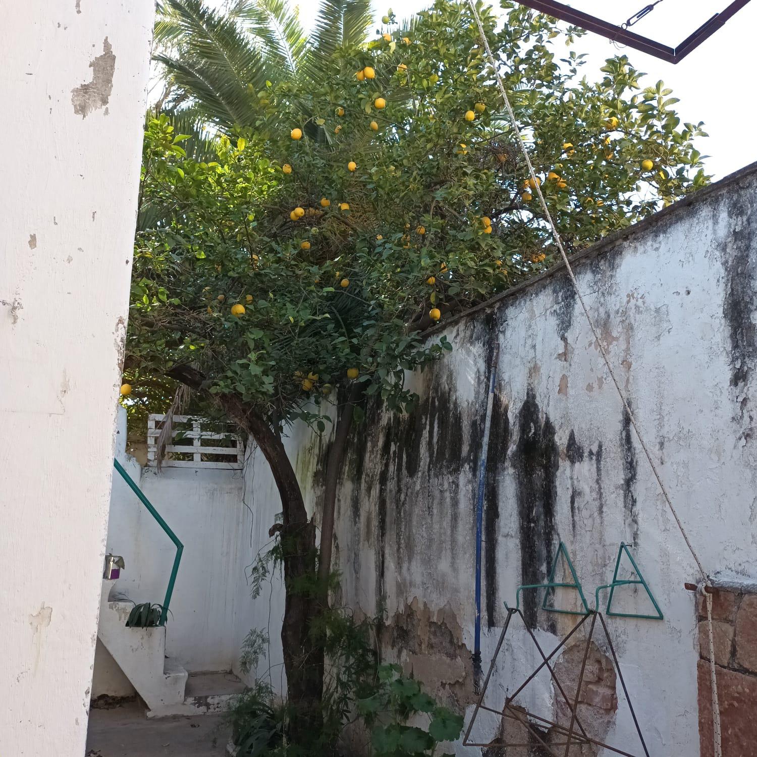 Casa en Venta 3 Dormitorios Alta Cordoba