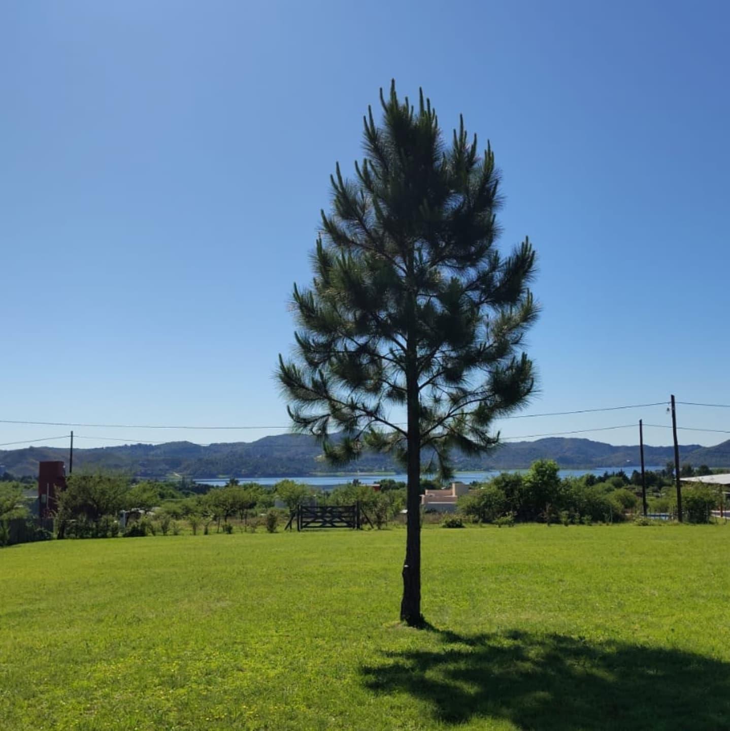 LA AGUSTINA CASAS DE CAMPO, ALQUILER TEMPORAL PARA 4-6 PERSONAS TOTAL 14
