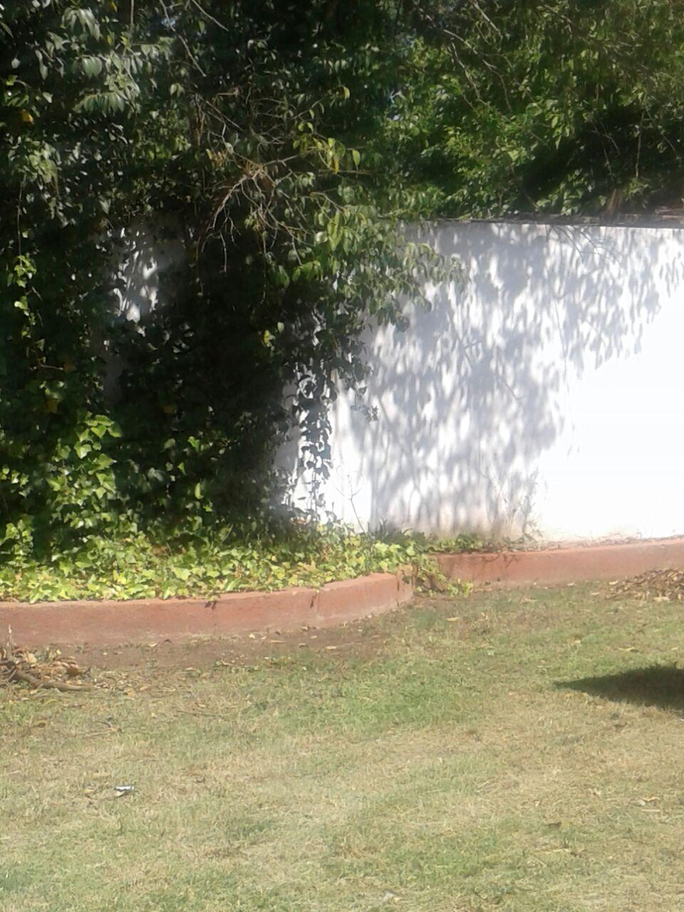 Se vende casa dentro de complejo cerrado en Arguello. Amplio fondo con cesped