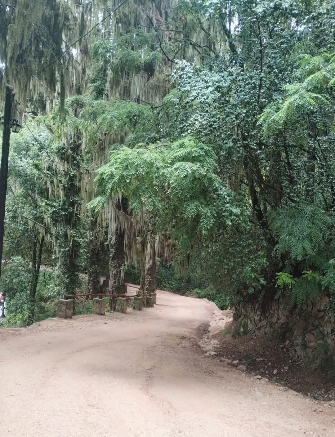 Oportunidad 2 locales comerciales y casa principal, con servicios y Escritura