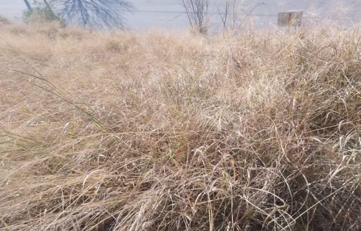 CHEMES INVERSIONES VENDE  TERRENO EN ALTO ALBERDI