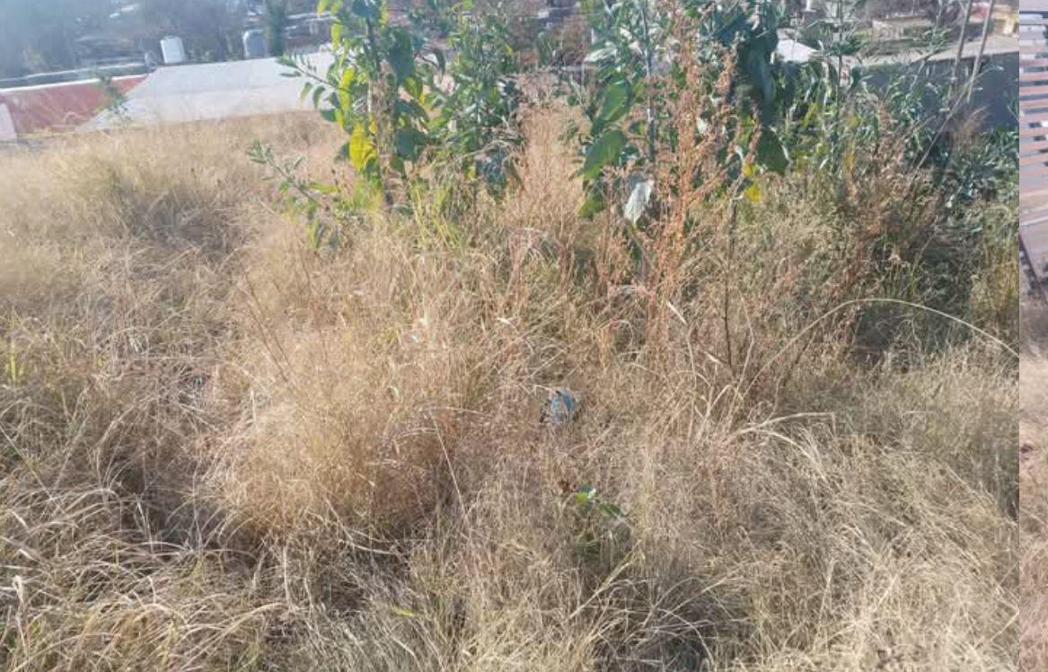 CHEMES INVERSIONES VENDE  TERRENO EN ALTO ALBERDI
