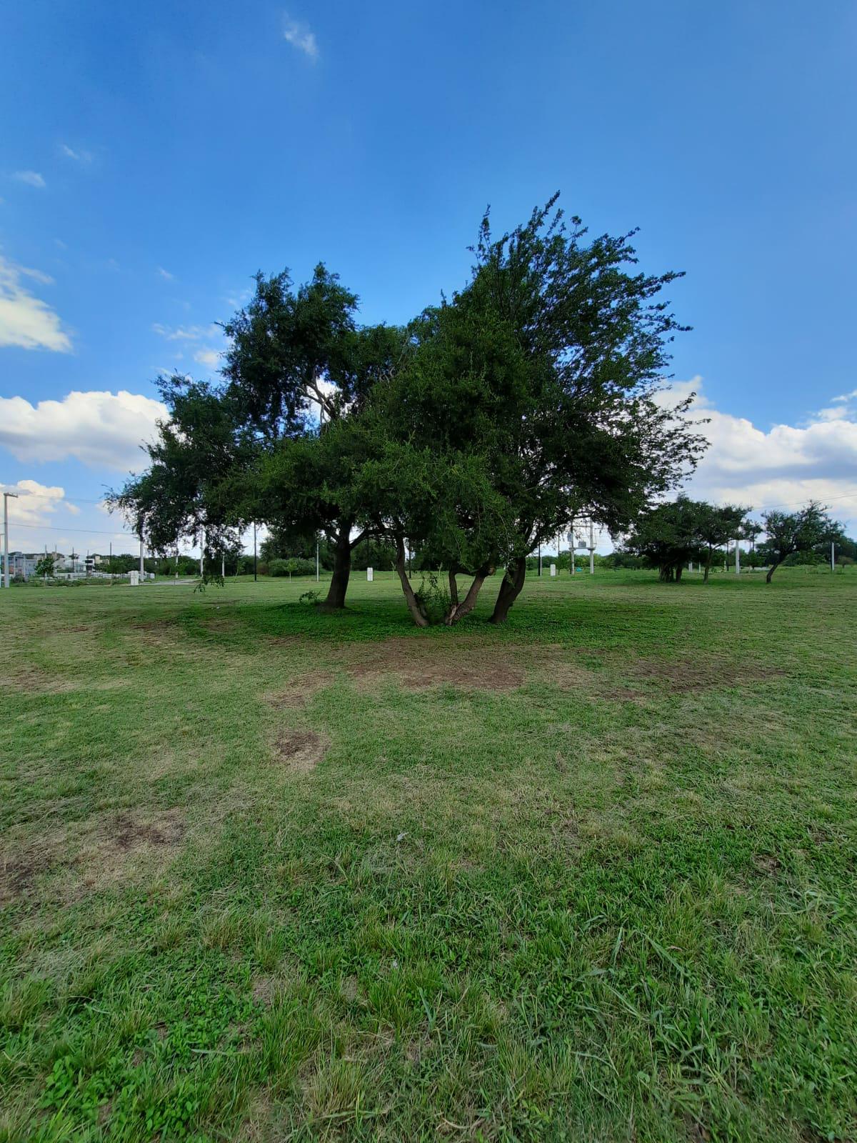 CHEMES INVERSIONES VENDE TERRENO EN TEJAS 4