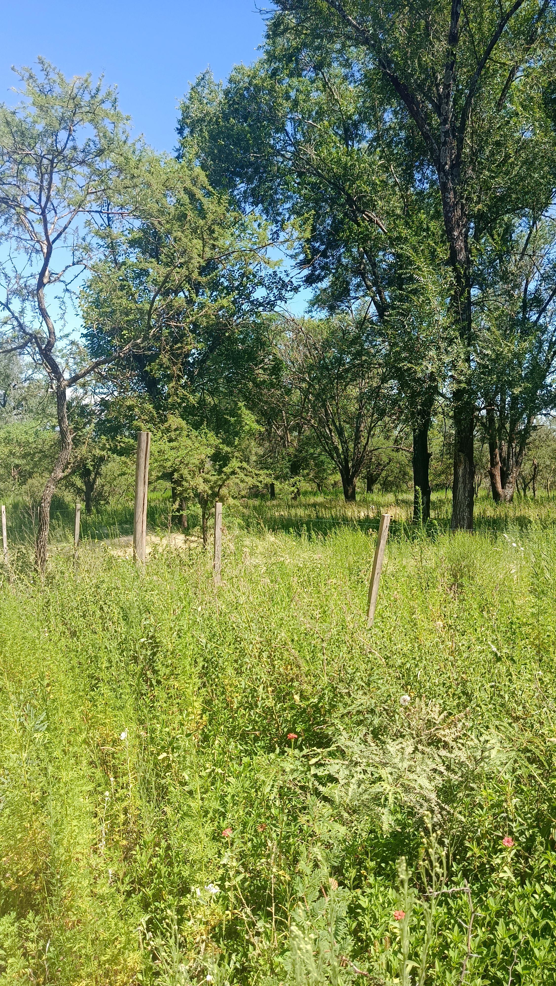 VENTA 7 LOTES 800 a 1000 M2 BARRIO LA GLORIA VILLA GRAL BELGRANO