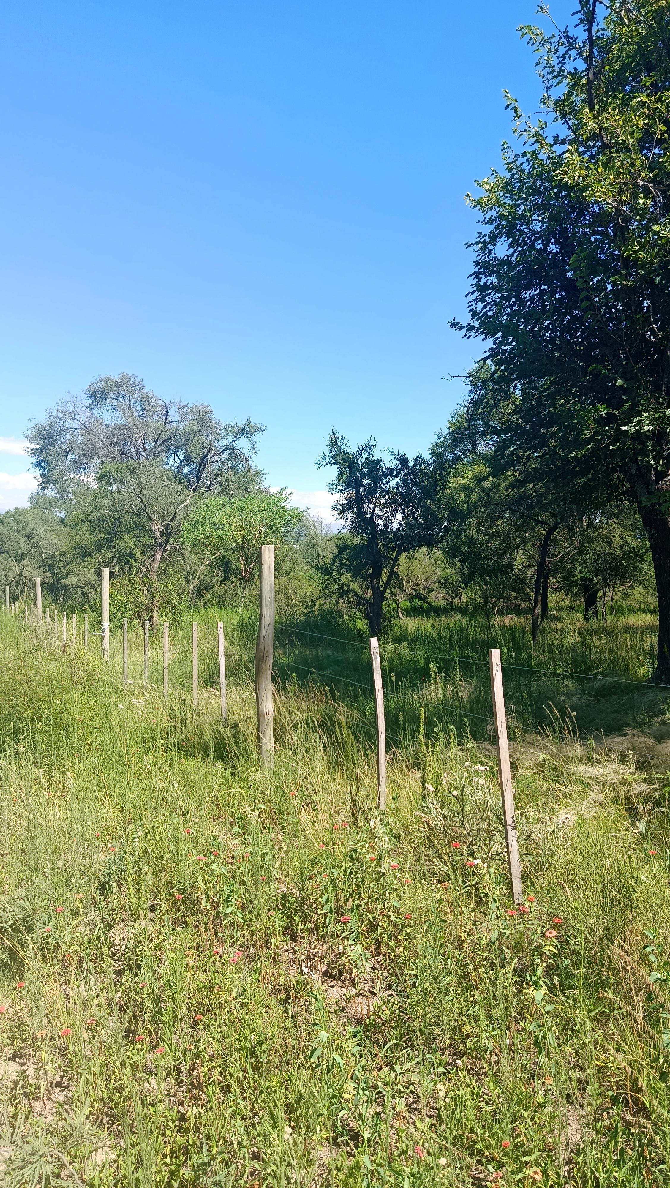 VENTA 7 LOTES 800 a 1000 M2 BARRIO LA GLORIA VILLA GRAL BELGRANO