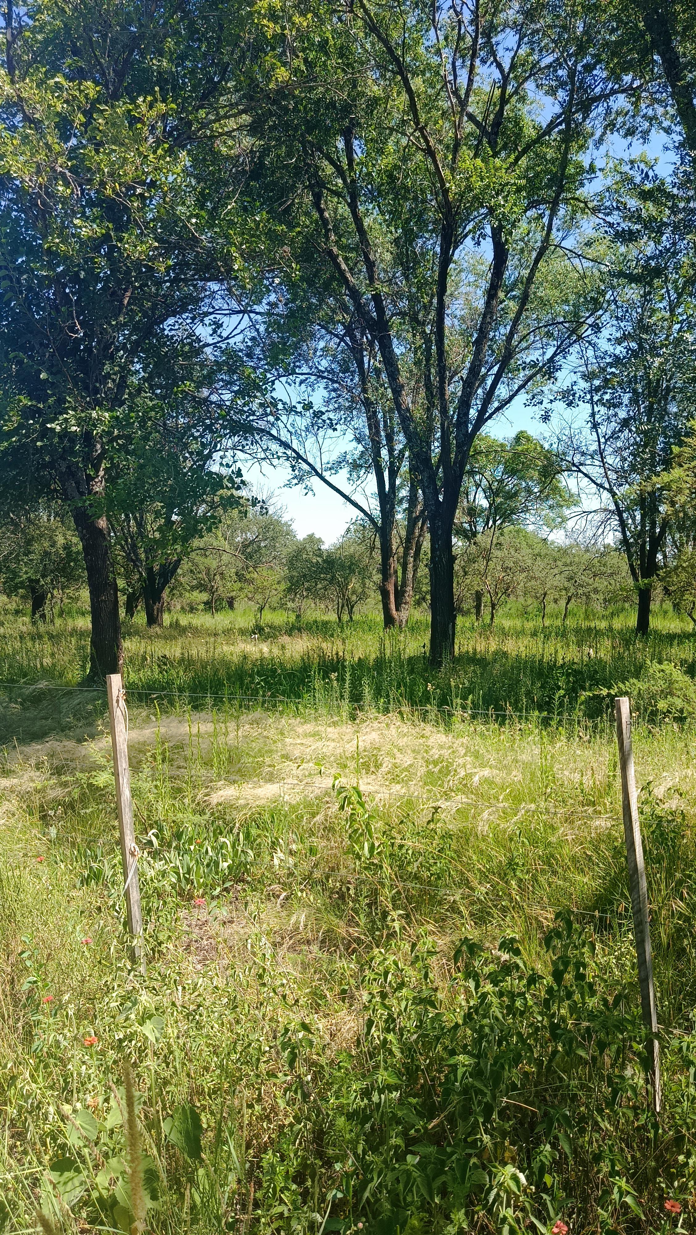 VENTA 7 LOTES 800 a 1000 M2 BARRIO LA GLORIA VILLA GRAL BELGRANO