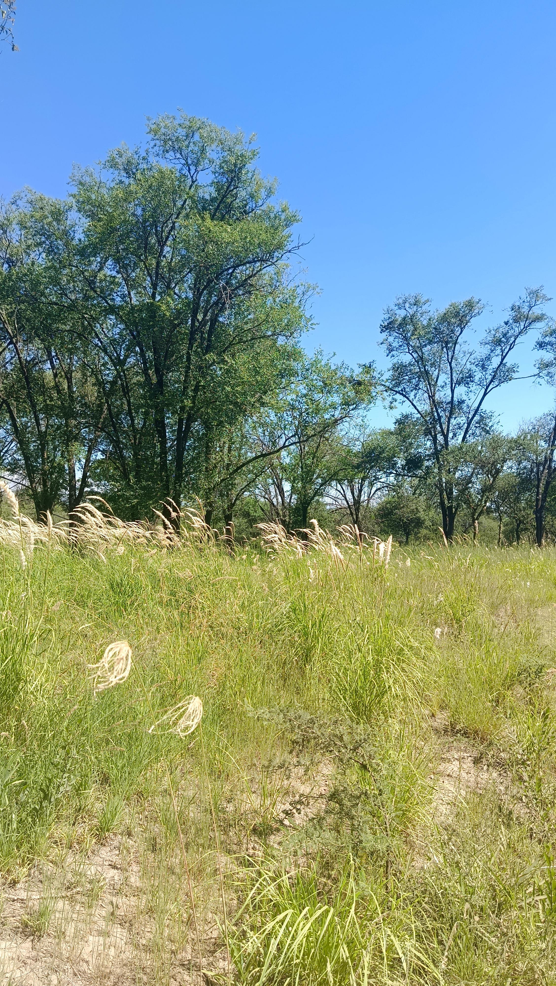 VENTA 7 LOTES 800 a 1000 M2 BARRIO LA GLORIA VILLA GRAL BELGRANO