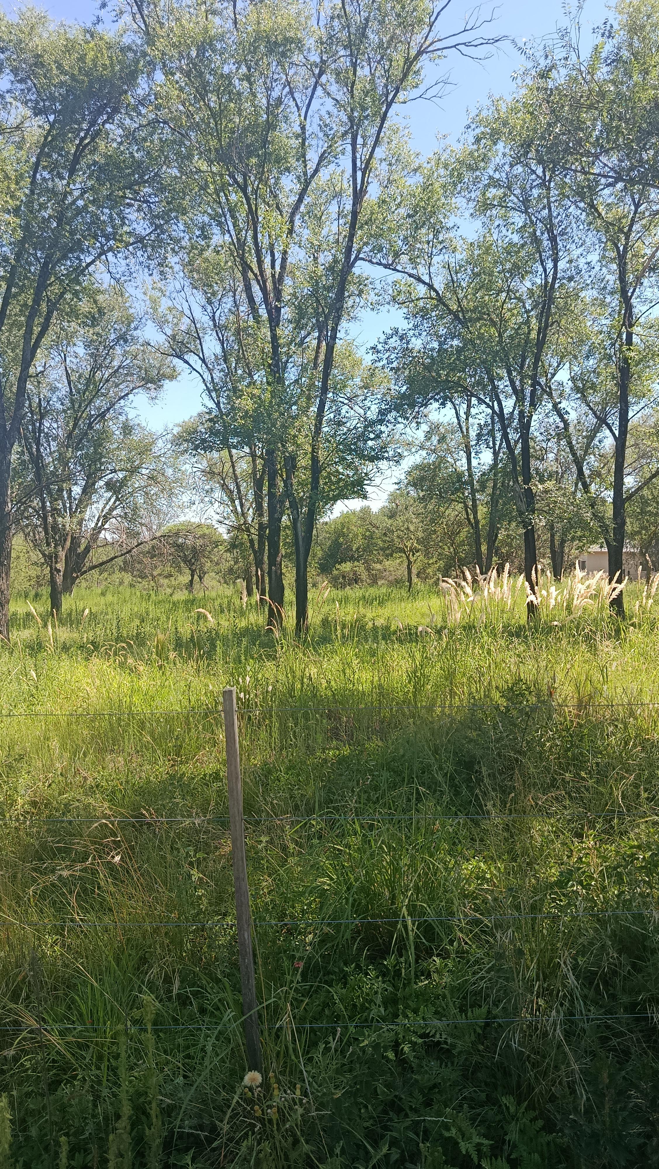 VENTA 7 LOTES 800 a 1000 M2 BARRIO LA GLORIA VILLA GRAL BELGRANO