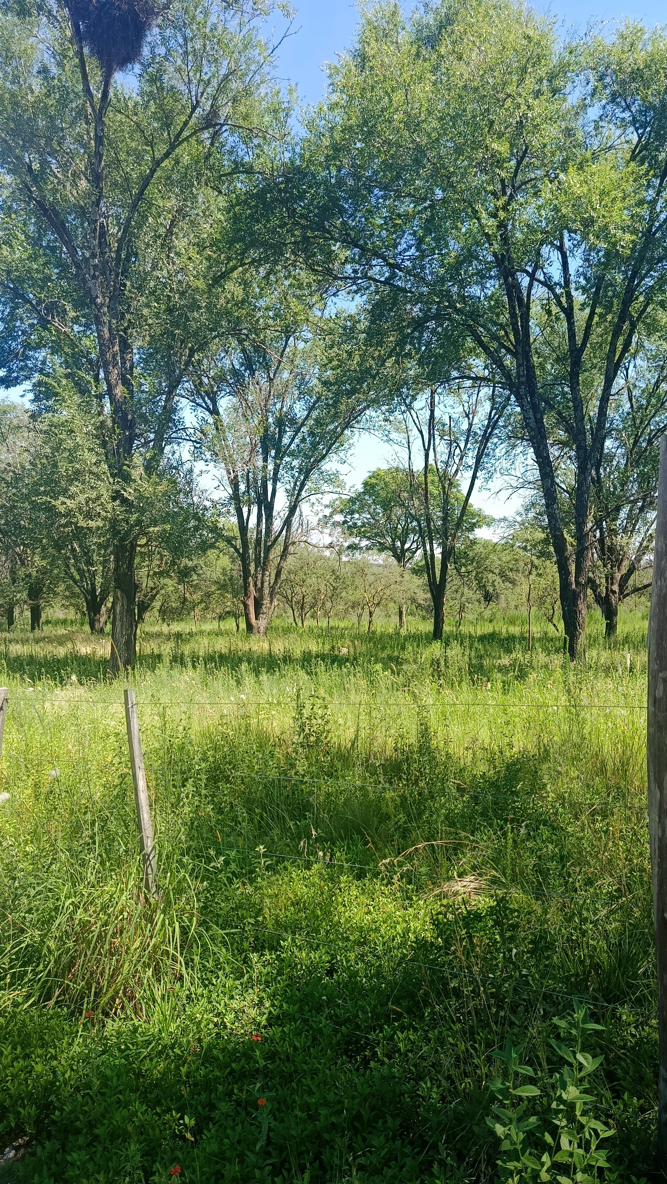 VENTA 7 LOTES 800 a 1000 M2 BARRIO LA GLORIA VILLA GRAL BELGRANO