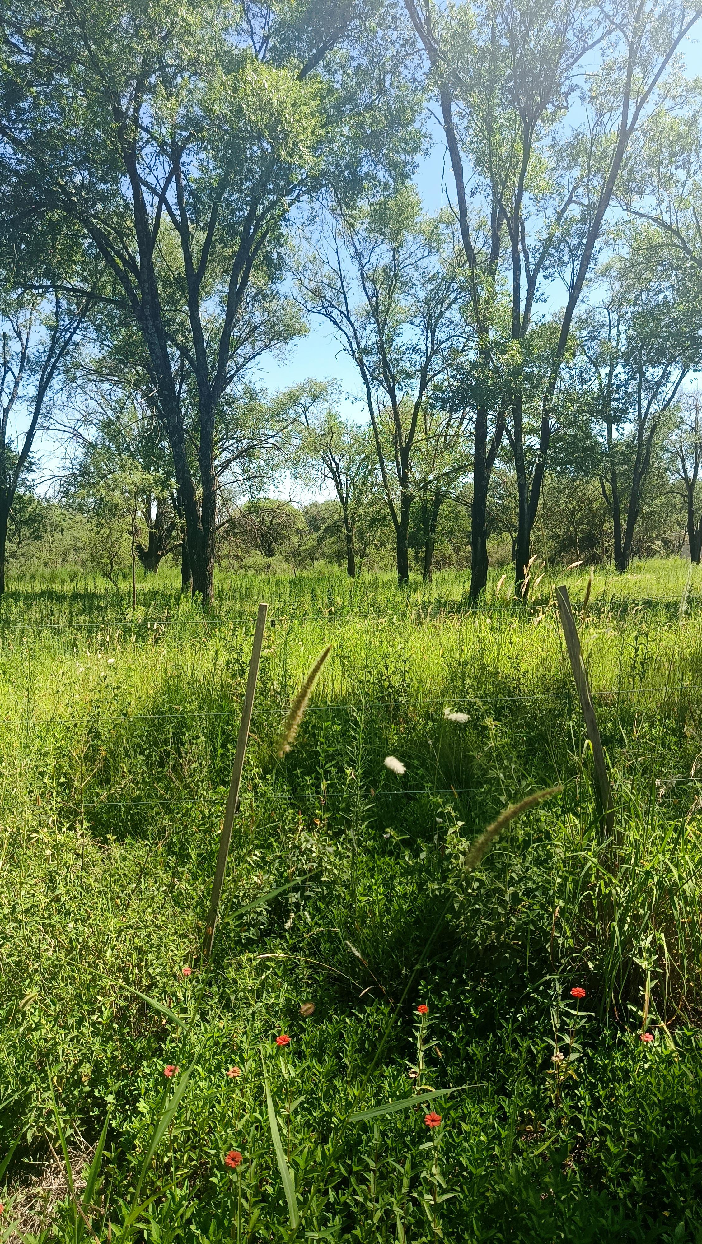 VENTA 7 LOTES 800 a 1000 M2 BARRIO LA GLORIA VILLA GRAL BELGRANO