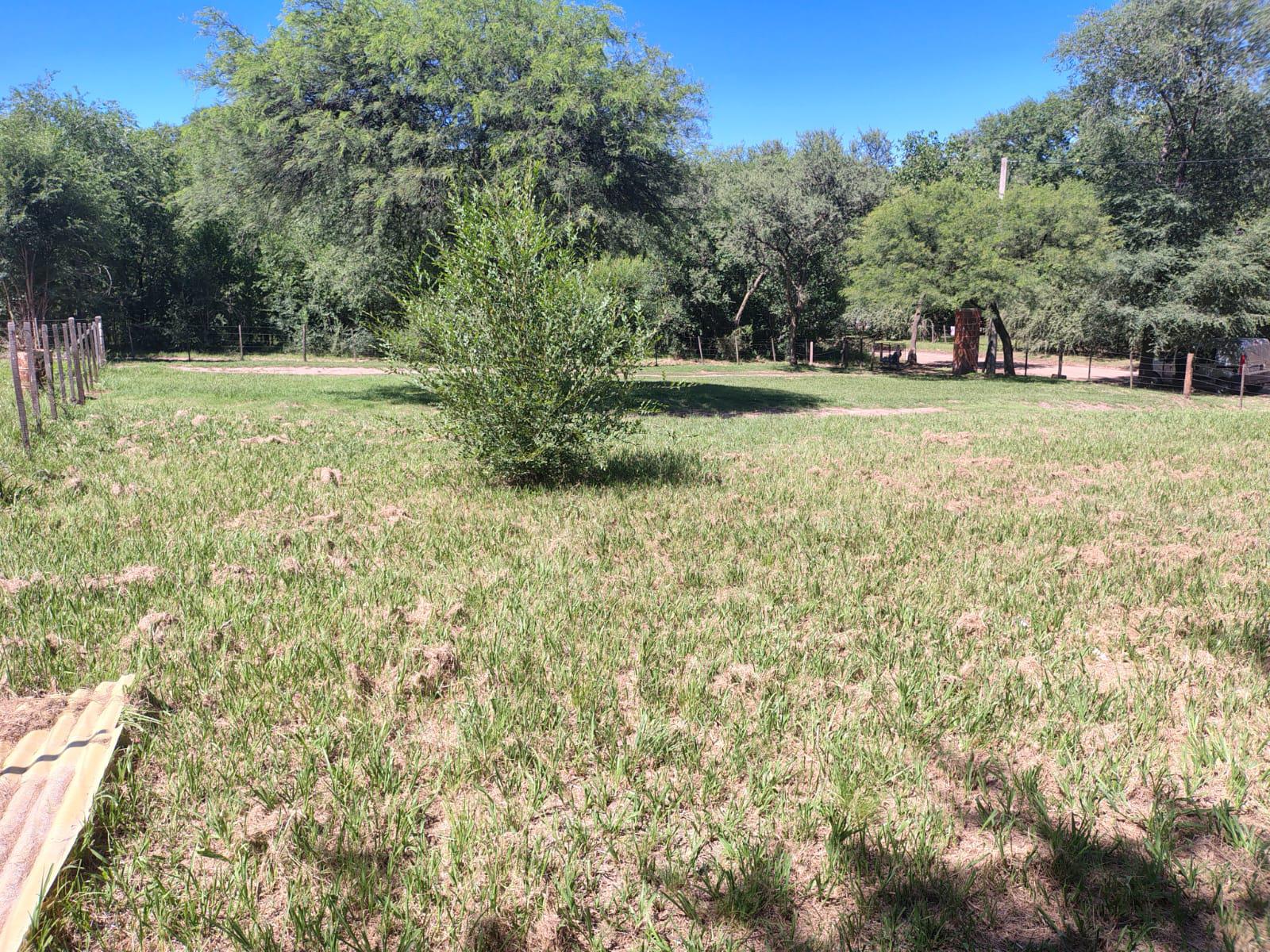 Hermoso lote, servicios en la puerta, Escritura perfecta