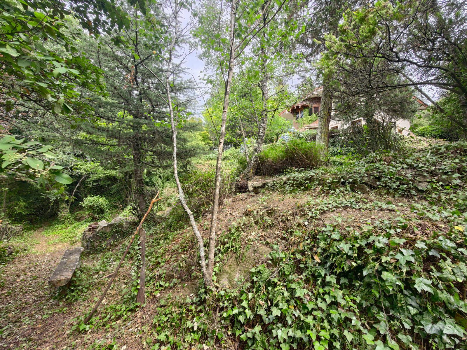 Venta de 2 hermosas casas, salida al río, en el corazón del Pueblo, Hermosas vistas, escritura inm.