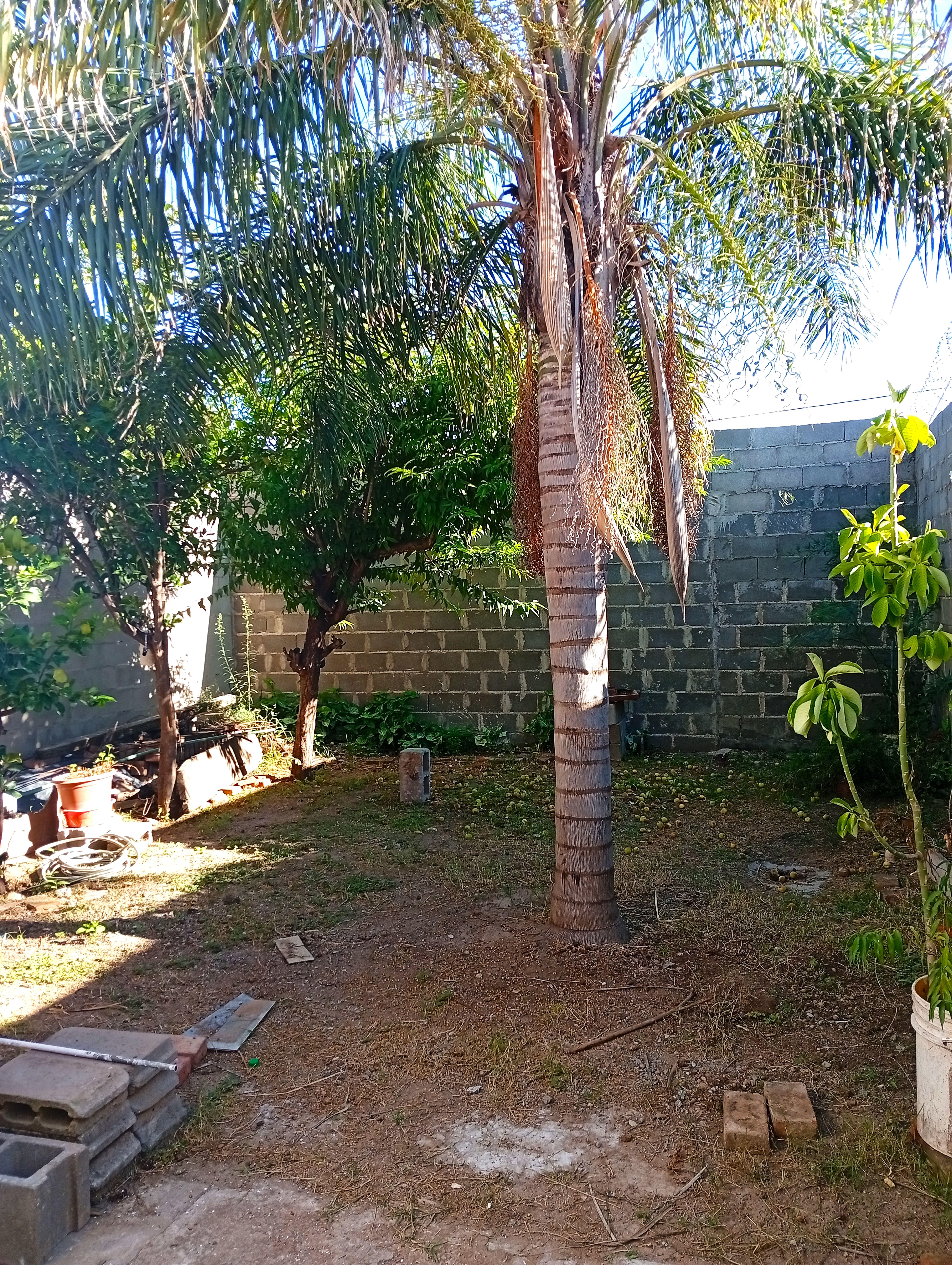 Casa en alquiler B Los Platanos