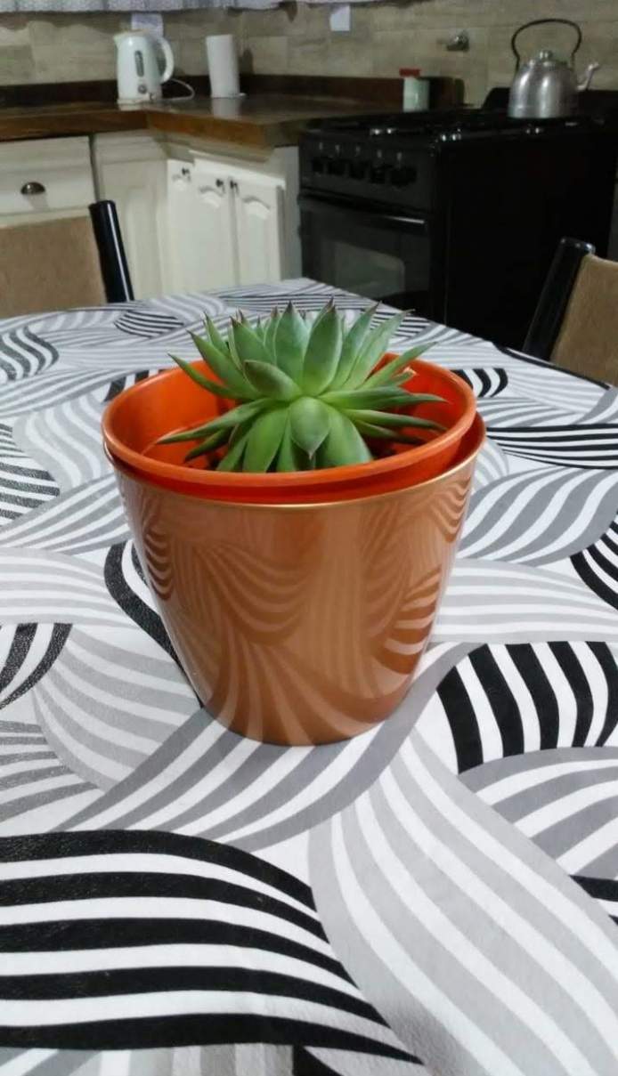 ALQUILER TURISTICO-STA.MÓNICA-CALAMUCHITA.