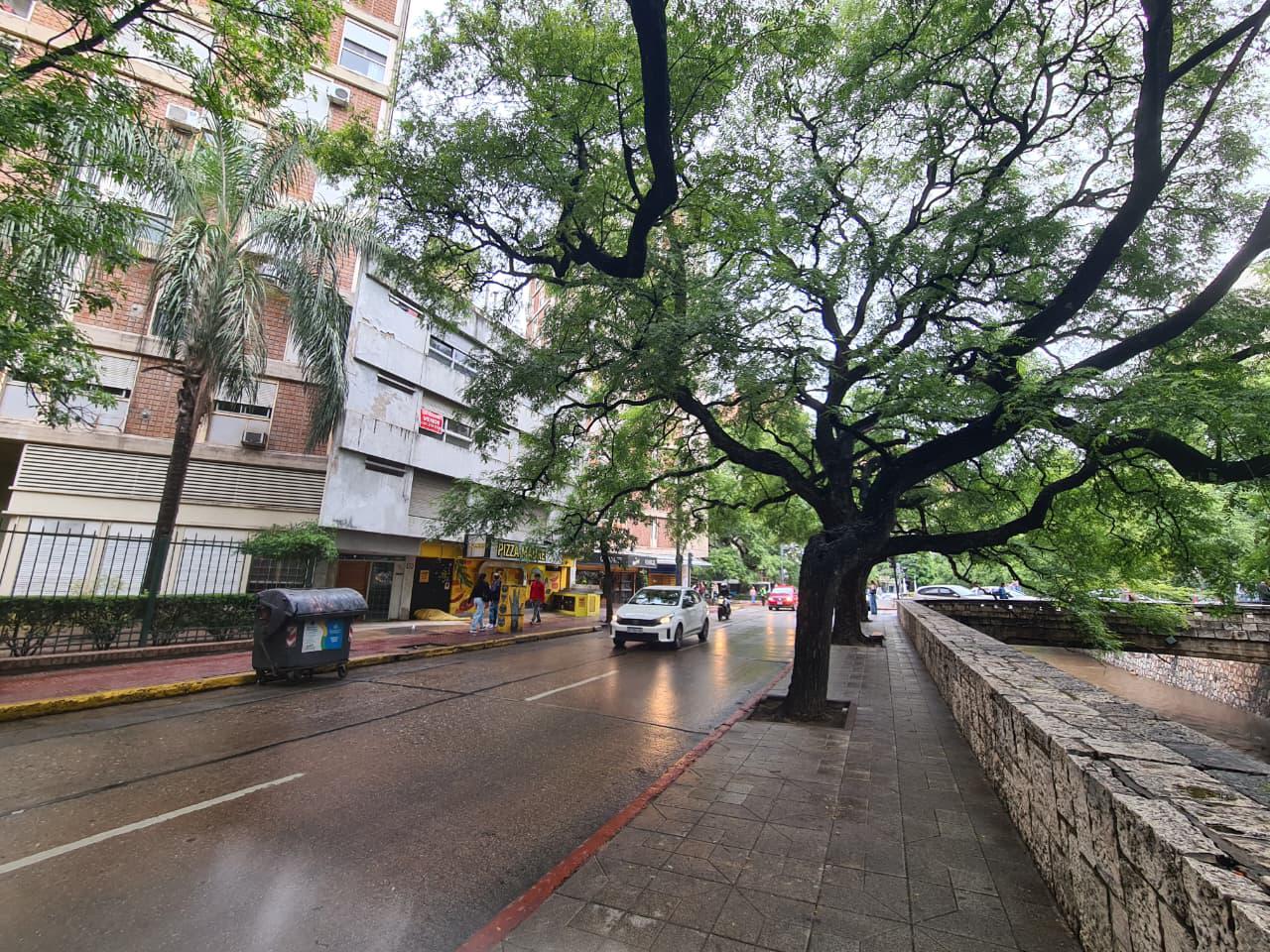 VENTA MONOAMBIENTE CENTRICO