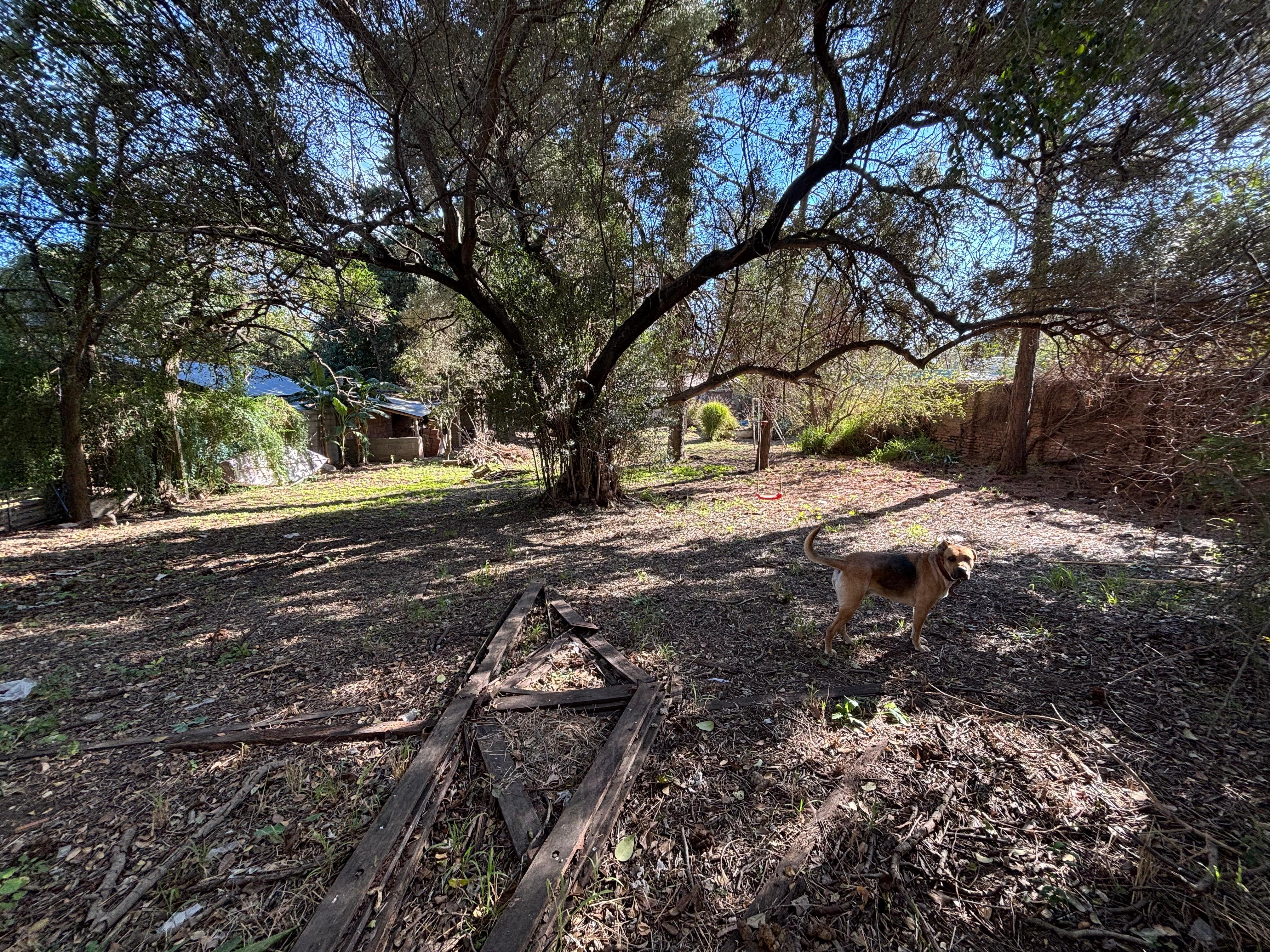 CASA EN VENTA 4 DORMITORIOS EN VILLA RIV. INDARTE 1000 M2 TERR.