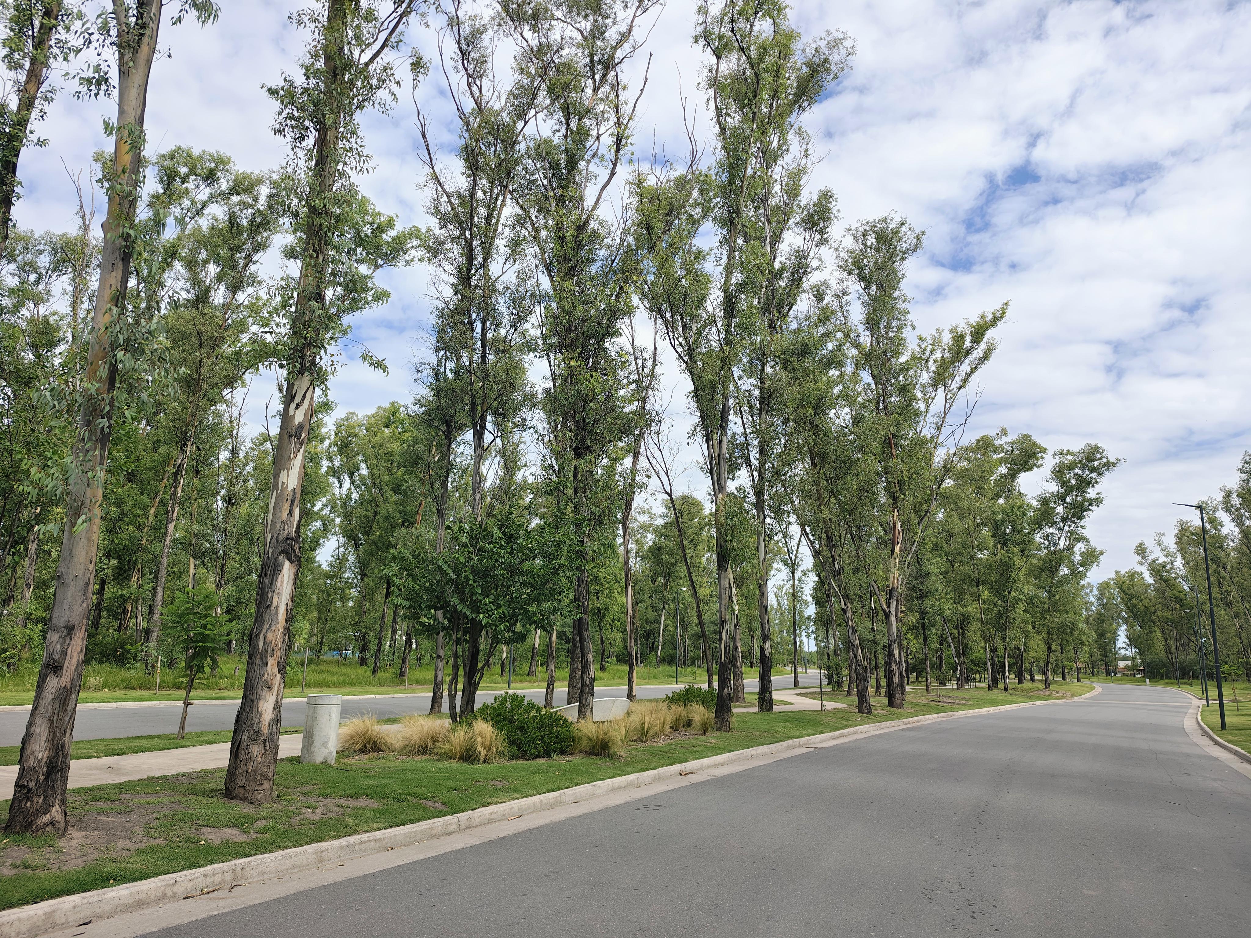NUEVO MALAGUEÑO BARRIO CERRADO A ESTRENAR OPORTUNIDAD