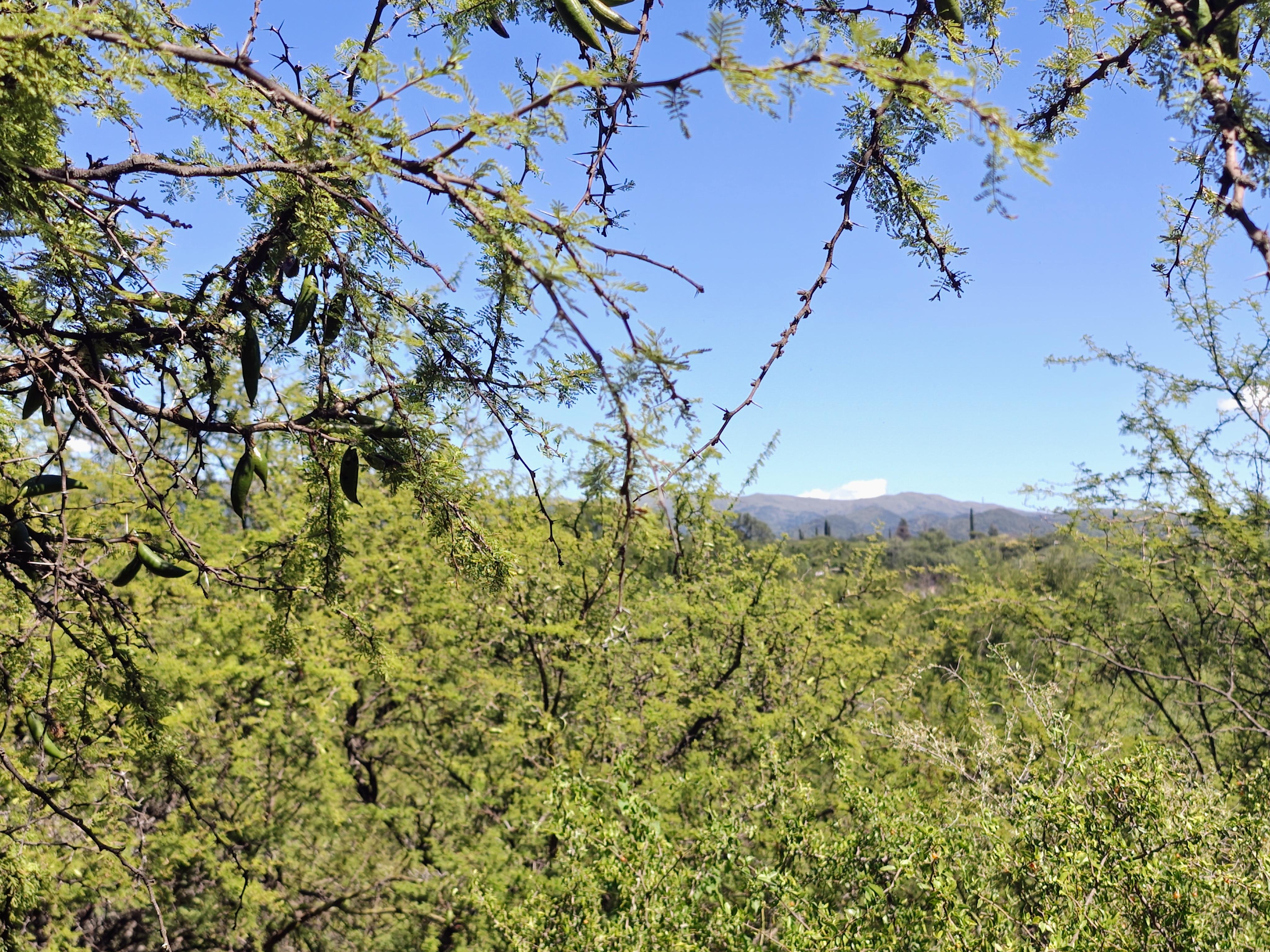 ESTANCIA EL TERRON OPORTUNIDAD VENDO LOTE VISTA A LAS MONTAÑAS