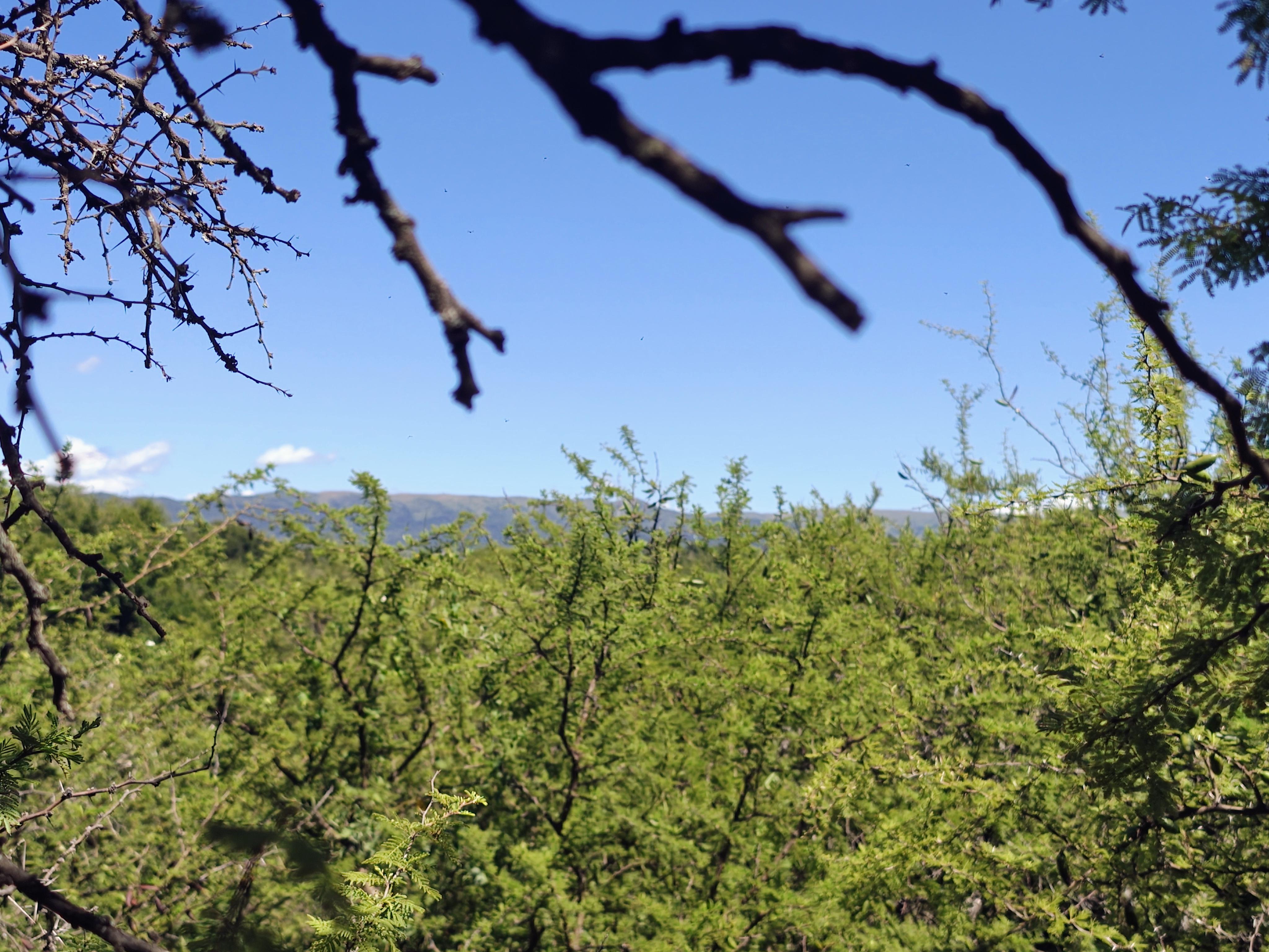ESTANCIA EL TERRON OPORTUNIDAD VENDO LOTE VISTA A LAS MONTAÑAS