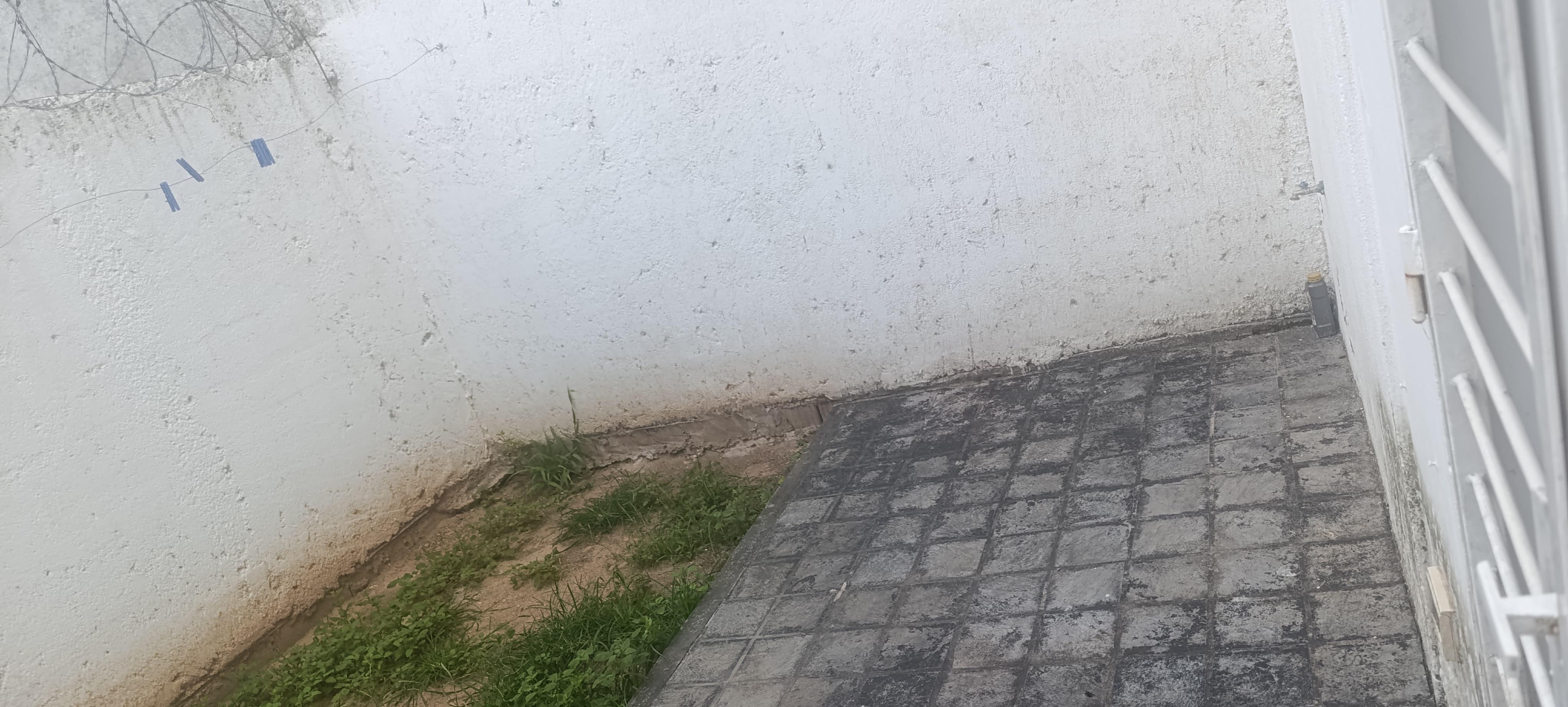 Alq. Duplex c2 dorm. B Arguello.