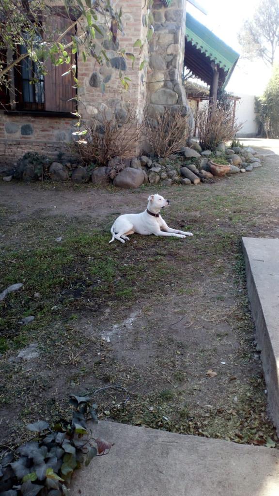 2 PROPIEDADES EN VENTA CON FINANCIACION PROPIA OPORTUNIDAD UNICA  EN VILLA RIVERA INDARTE