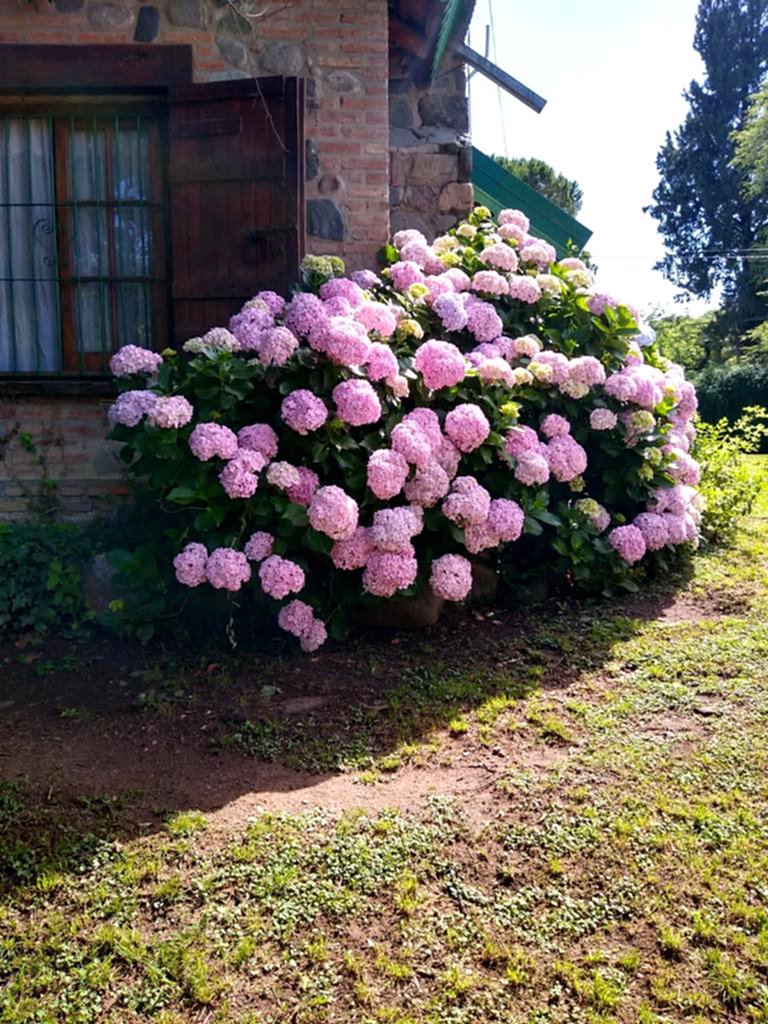 2 PROPIEDADES EN VENTA CON FINANCIACION PROPIA OPORTUNIDAD UNICA  EN VILLA RIVERA INDARTE