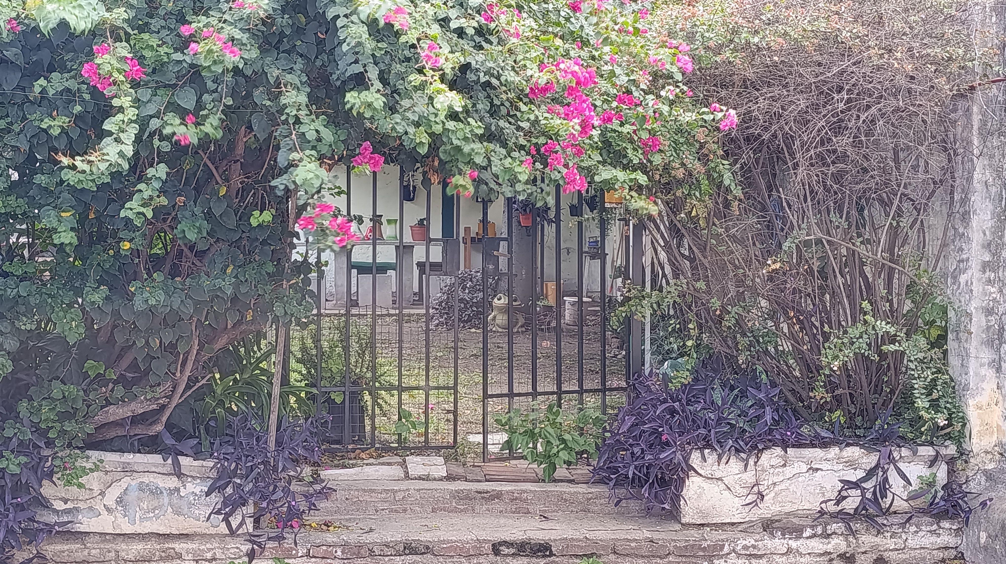 ALQUILER TEMPORARIO  DPTO 2D  PATIO CON ASADOR  GEMES  CÓRDOBA