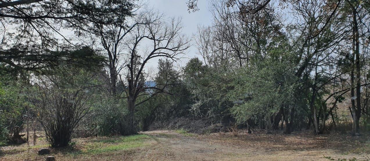 Finde XL en Santa Mónica: Casa de Campo Económica