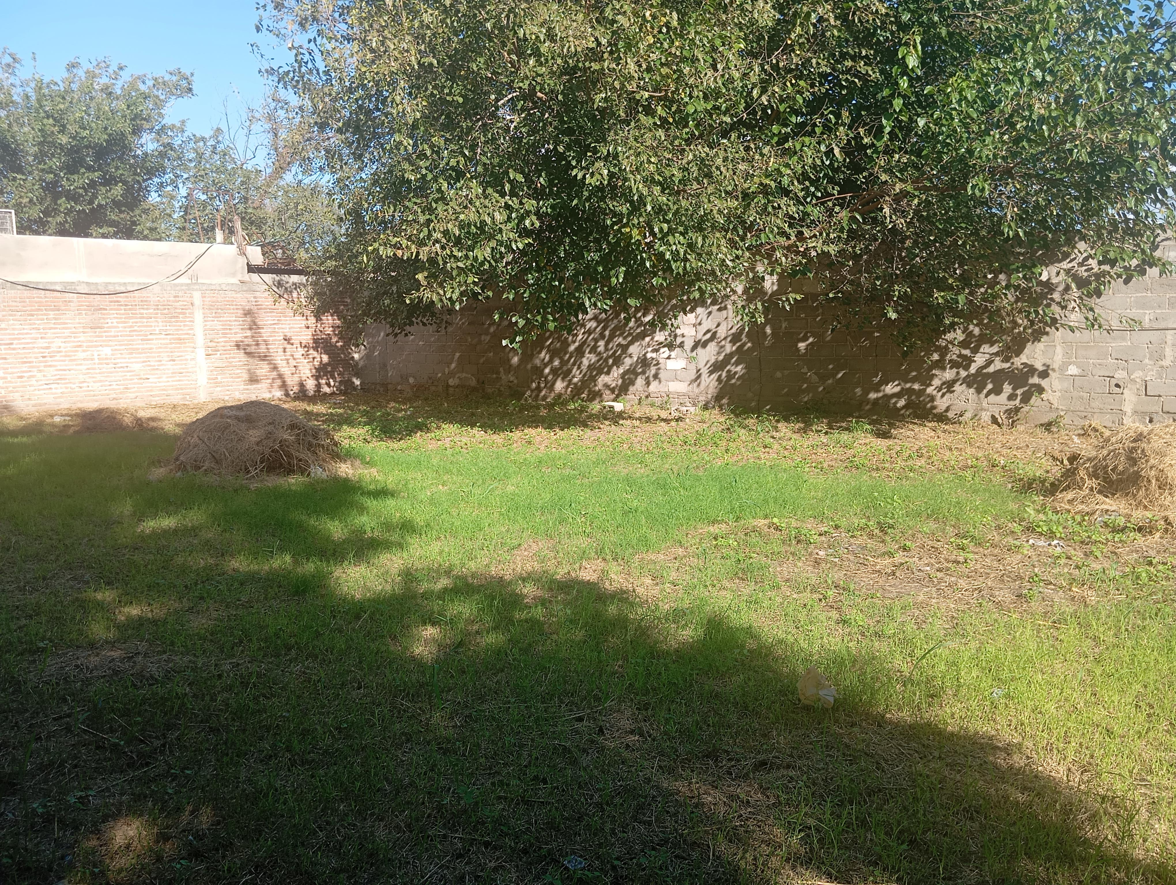 Alq. Terreno  Rosedal.