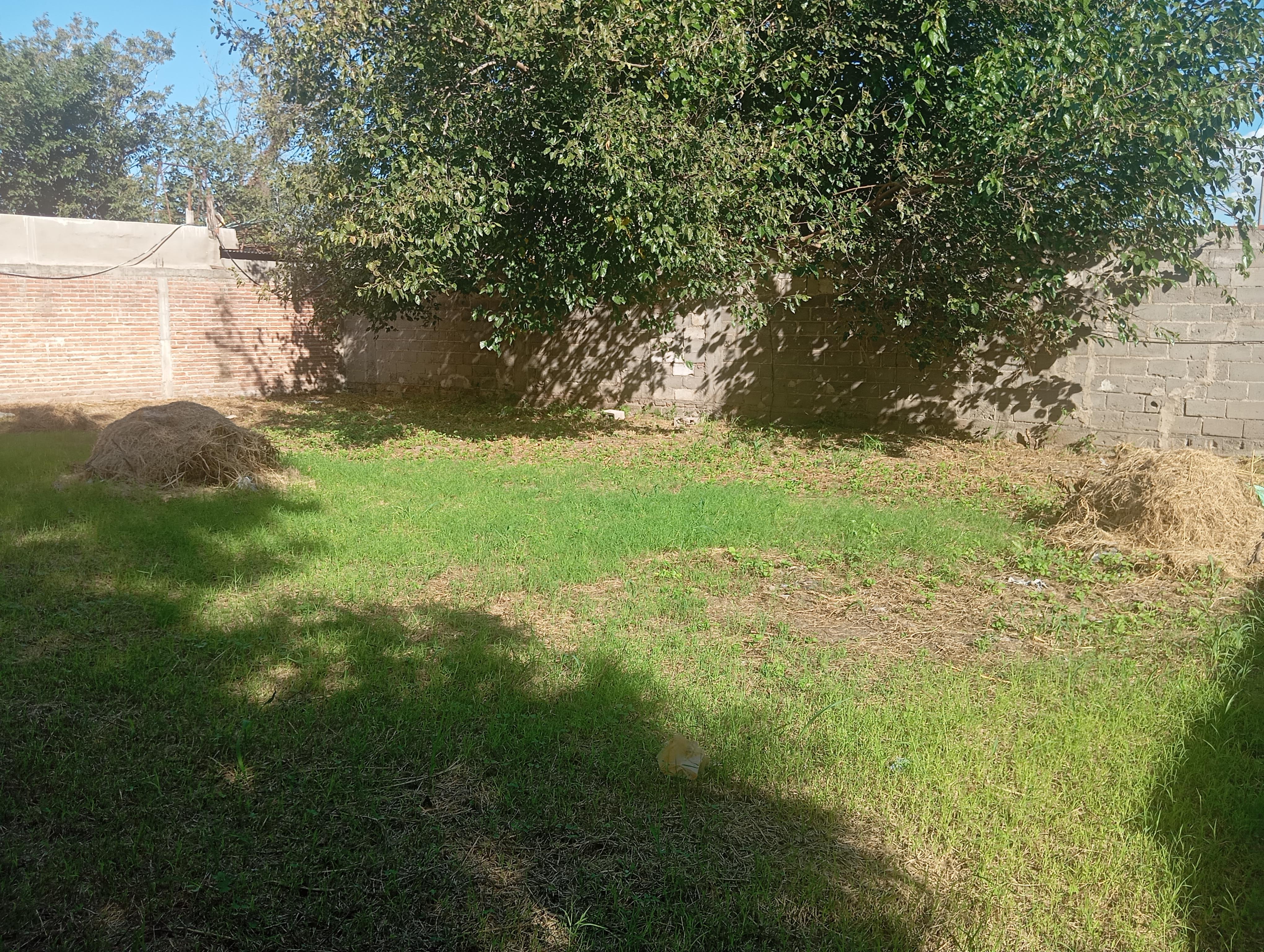 Alq. Terreno  Rosedal.