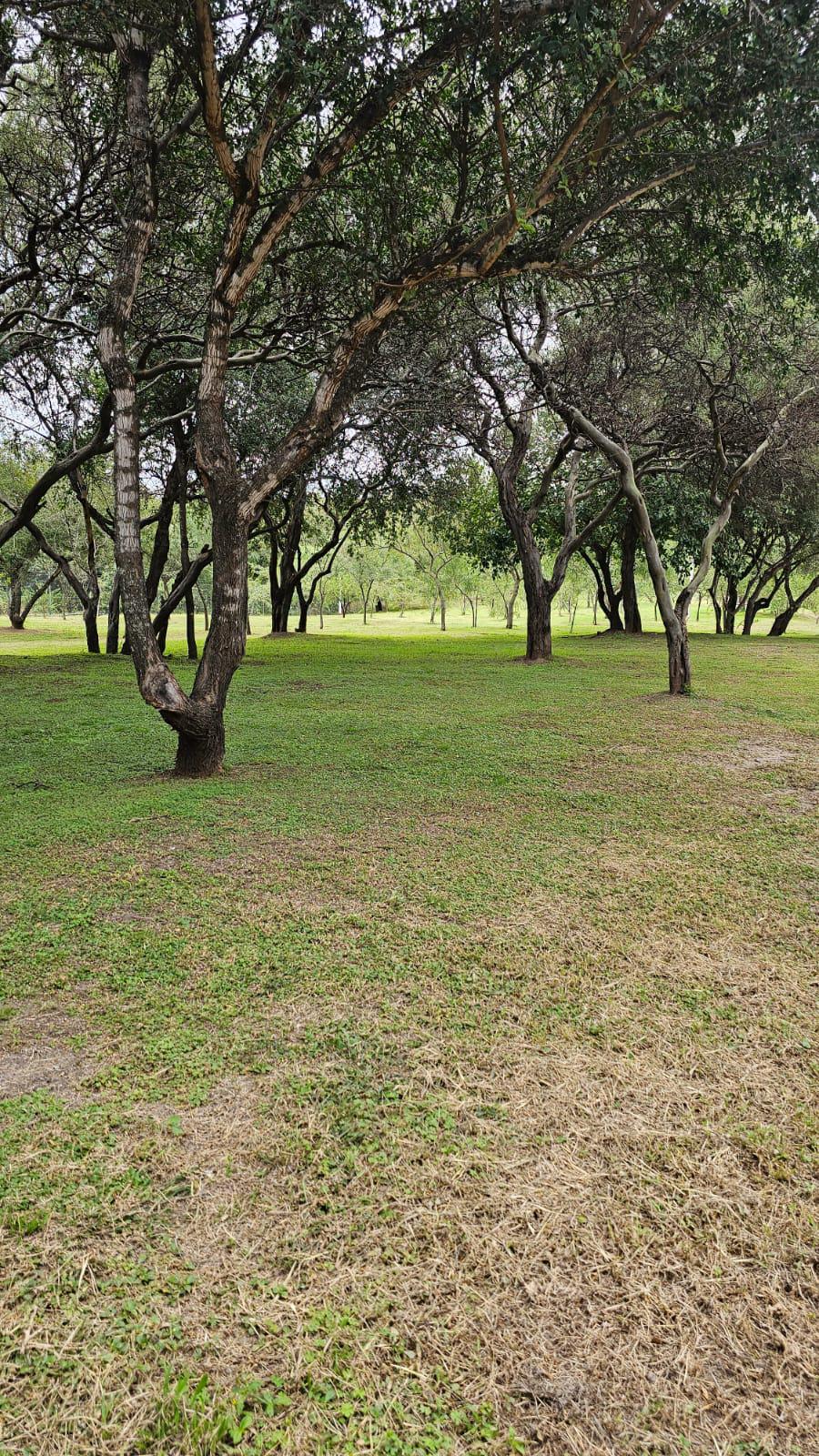 Venta Lote -Tejas 4- 350 m